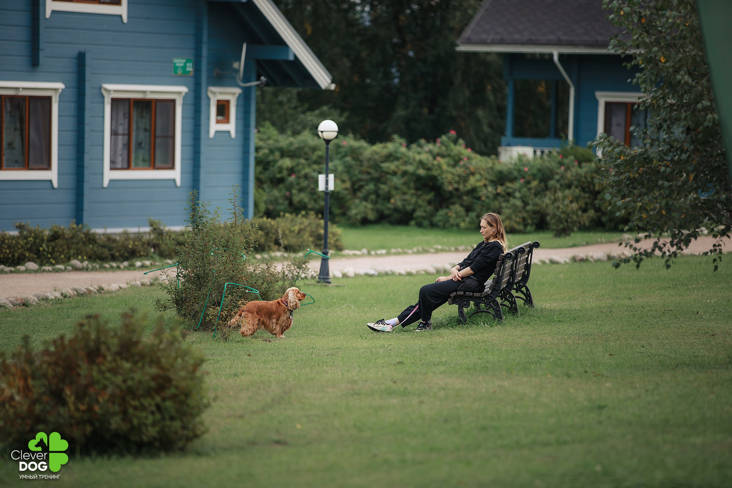 Кинологический лагерь CleverDog, 2024. Фотограф-анималист Mary Mart — Москва, Питер