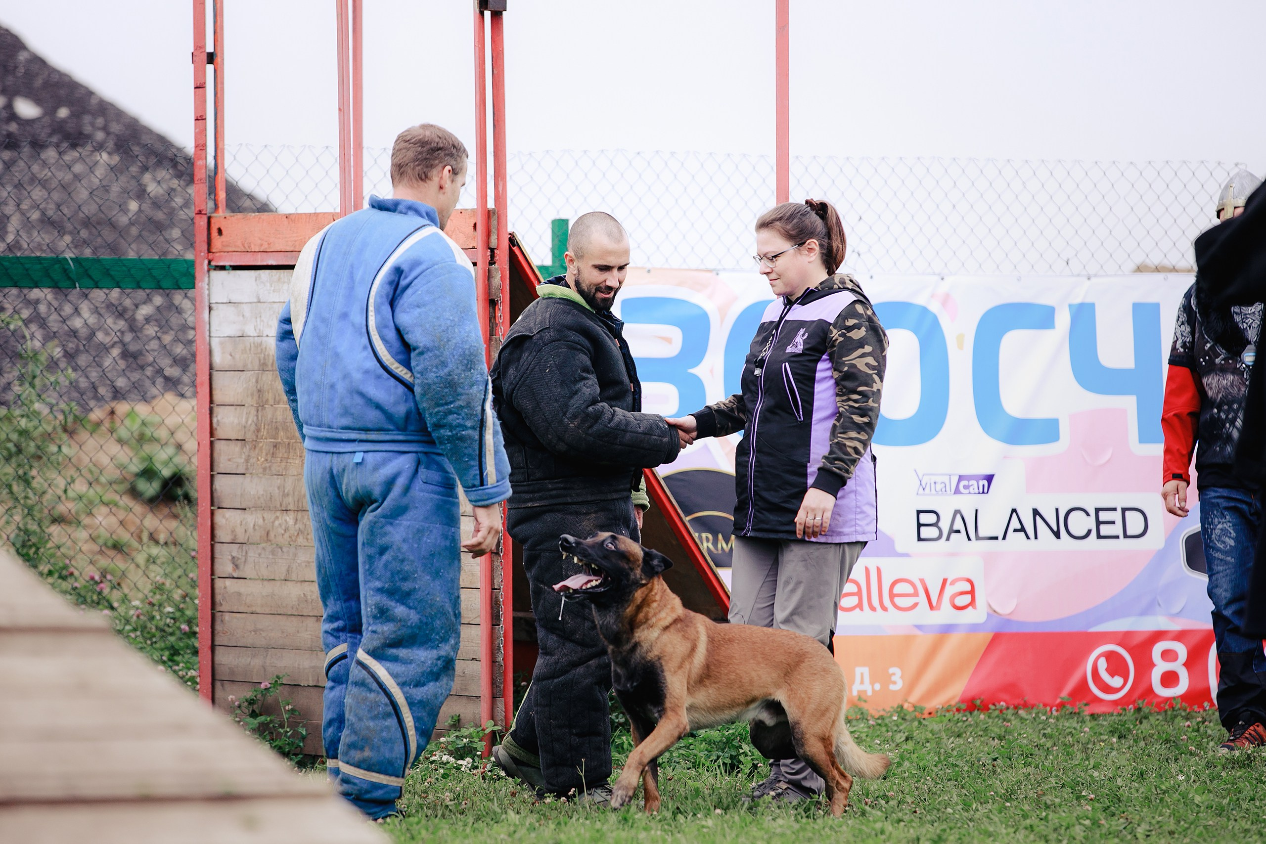 Мондьоринг М1, М2, М3, Вологда. Фотограф-анималист Mary Mart — Москва, Питер