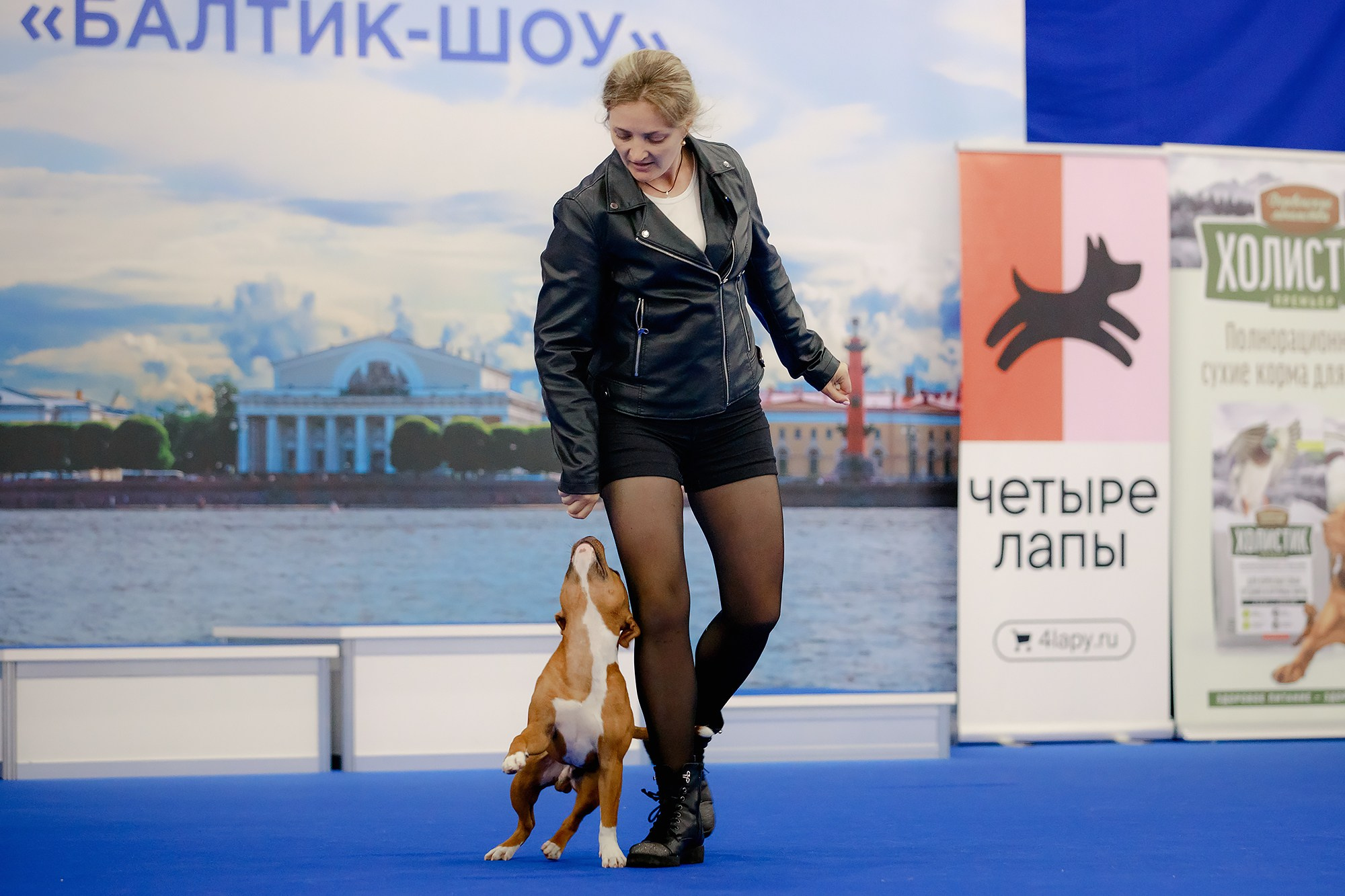 Танцы на выставке «Зоошоу», СПб. Фотограф-анималист Mary Mart — Москва, Питер