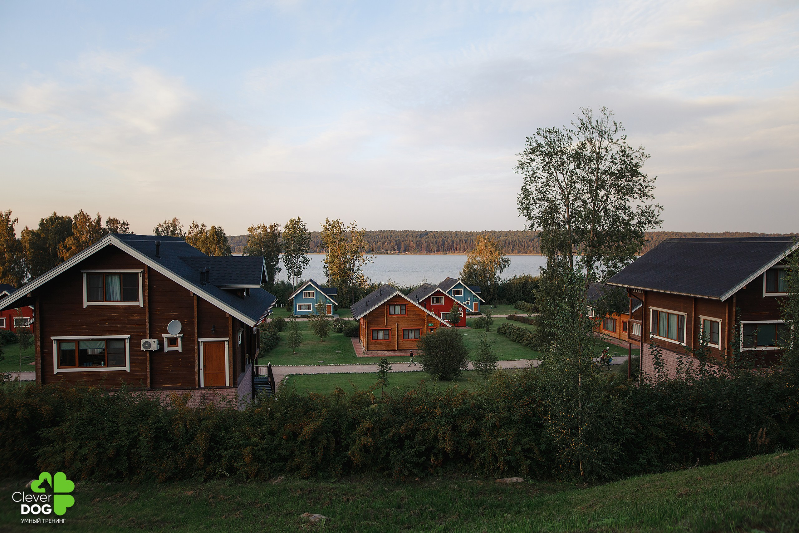 Кинологический лагерь CleverDog, 2024. Фотограф-анималист Mary Mart — Москва, Питер