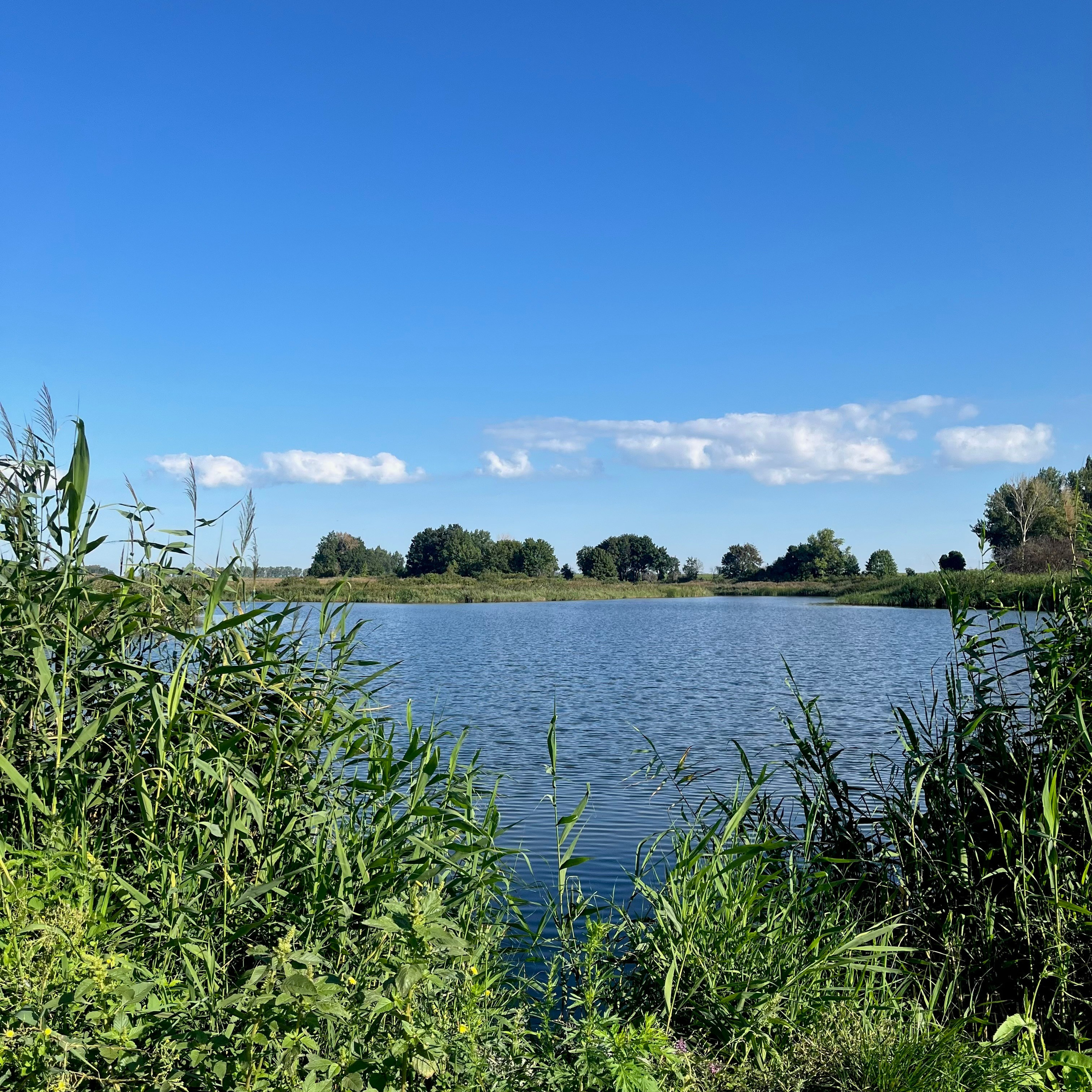 Летний пейзаж. Фотограф природных объектов