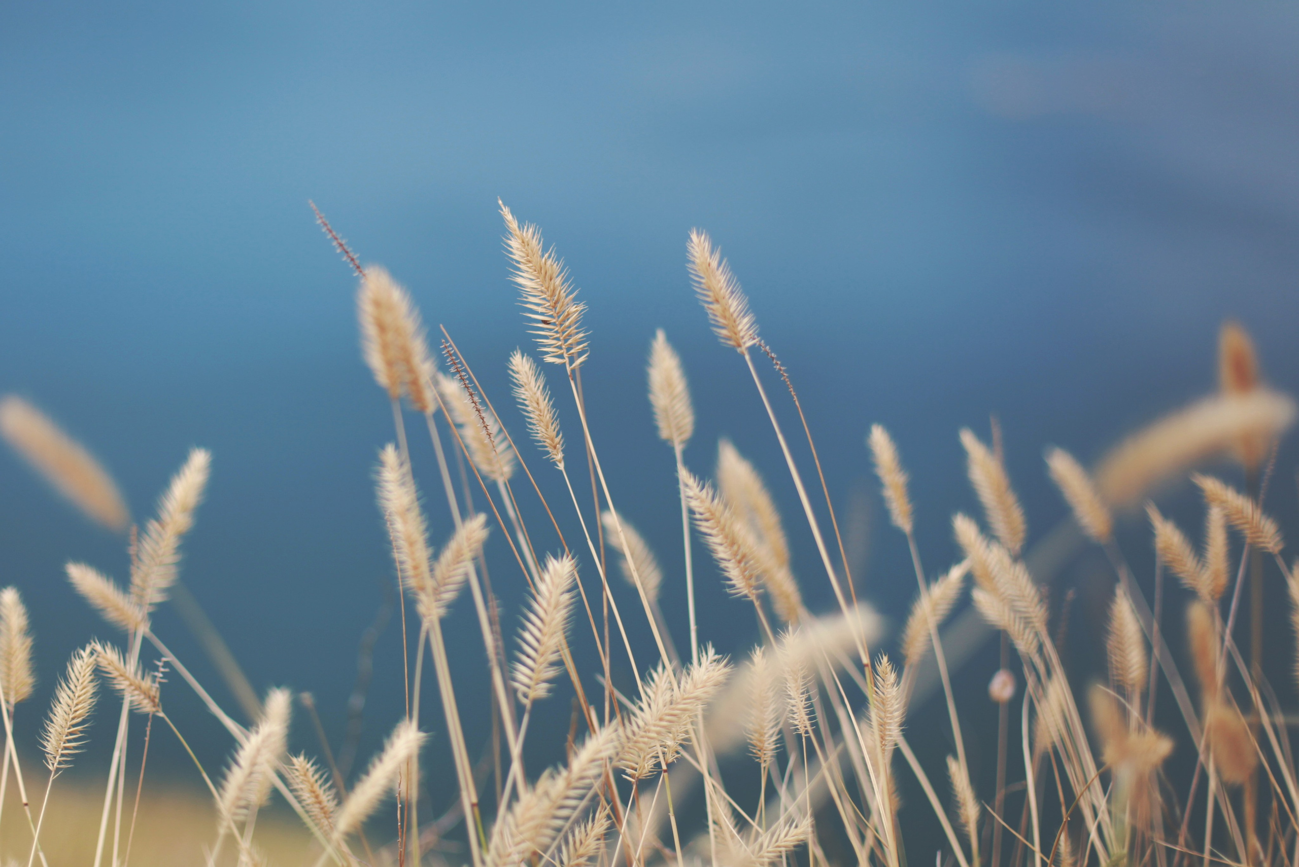 Болгария. Аня Степанова