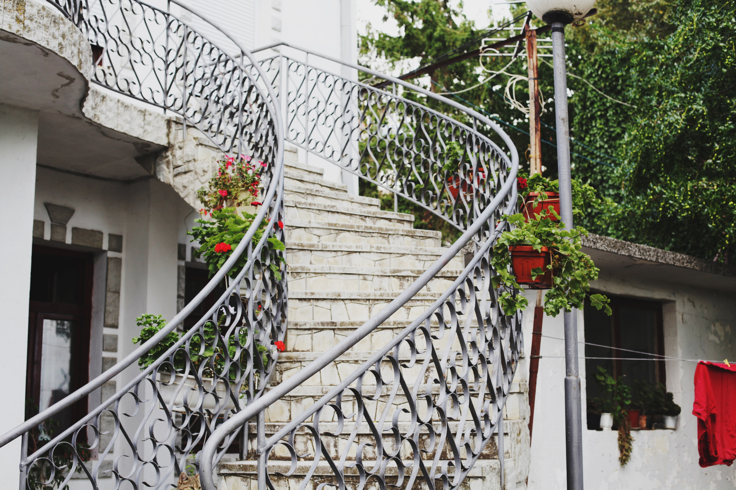 Болгария. Аня Степанова