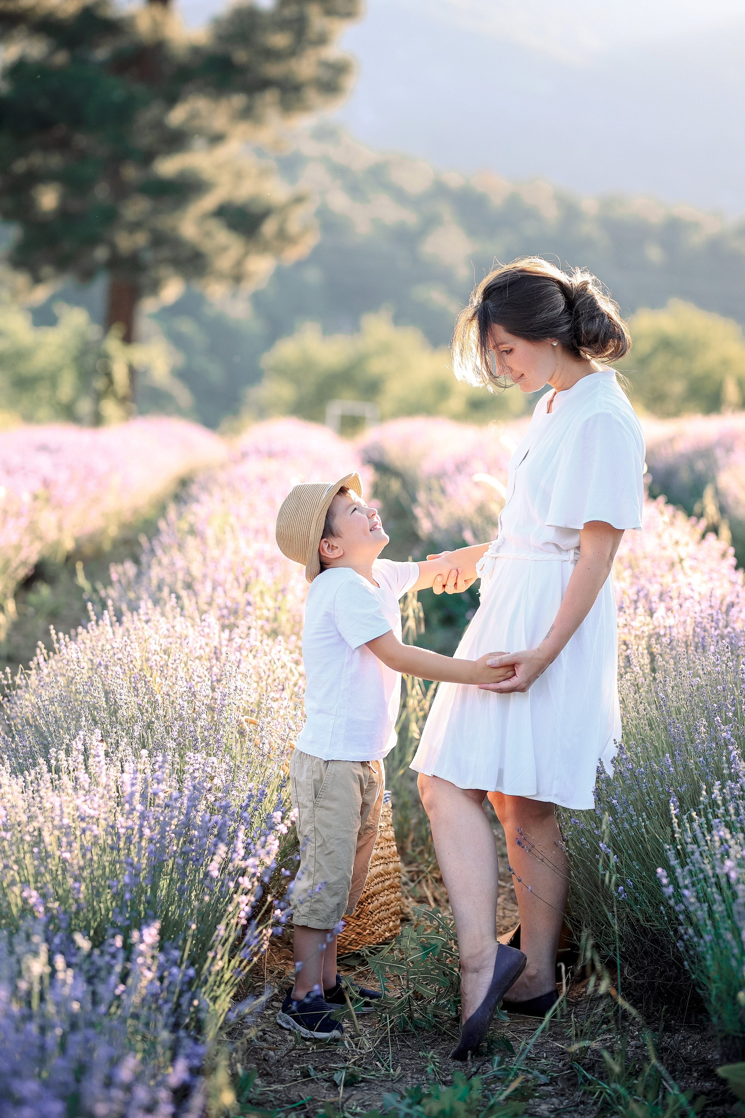Lavender in Antalya