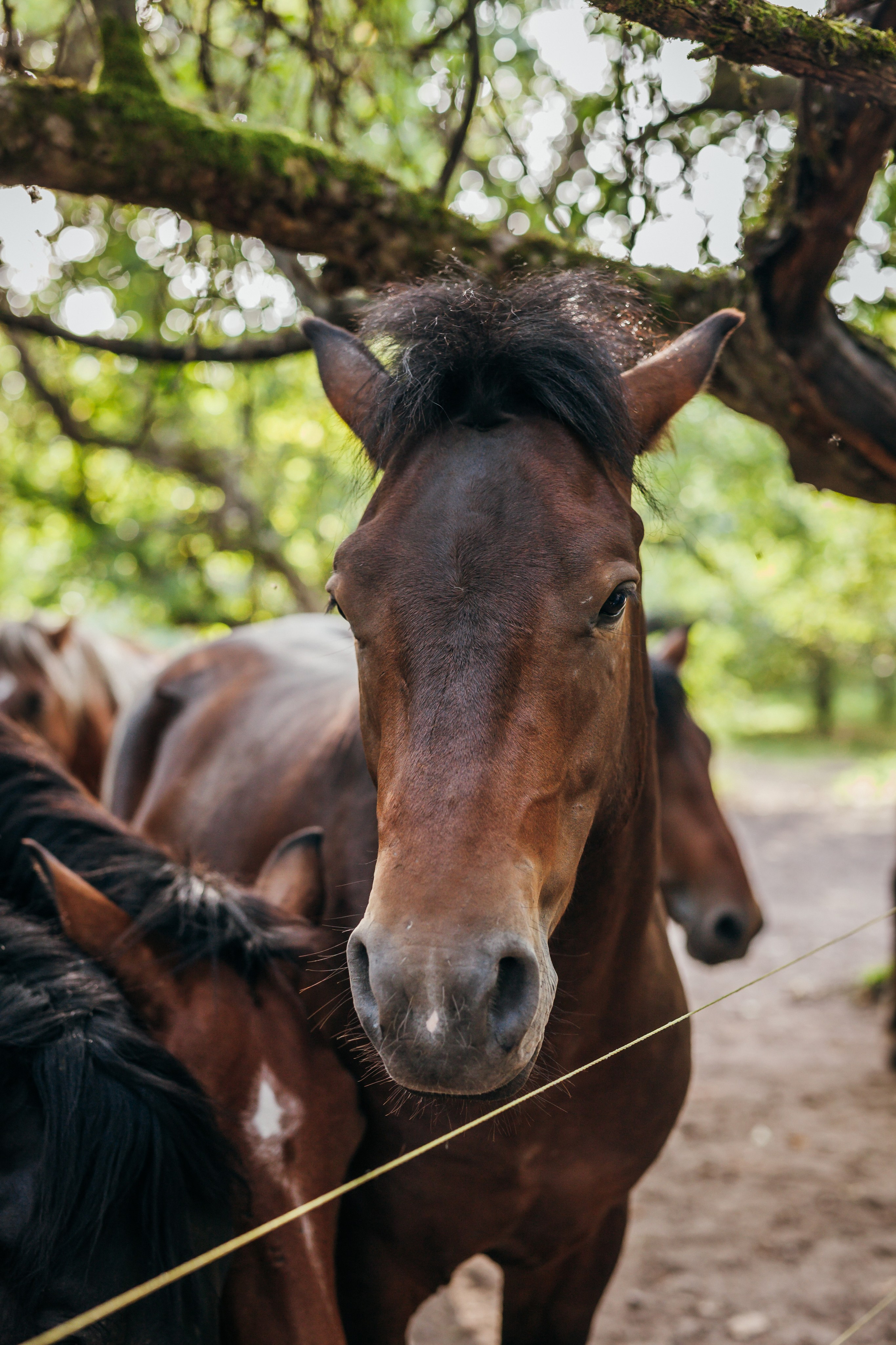 Репортаж для «Райского сада». Портретный и семейный фотограф в Минске