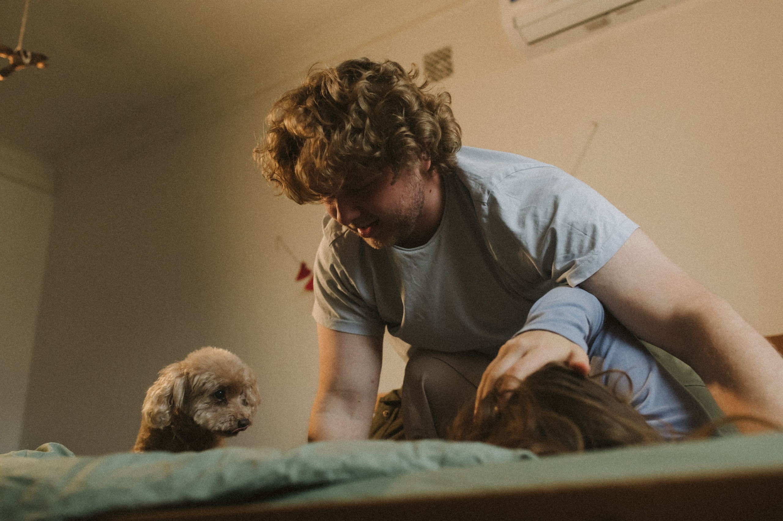 Ання и её кудрявая команда. Фотограф анималист в Москве Ольга Агушева