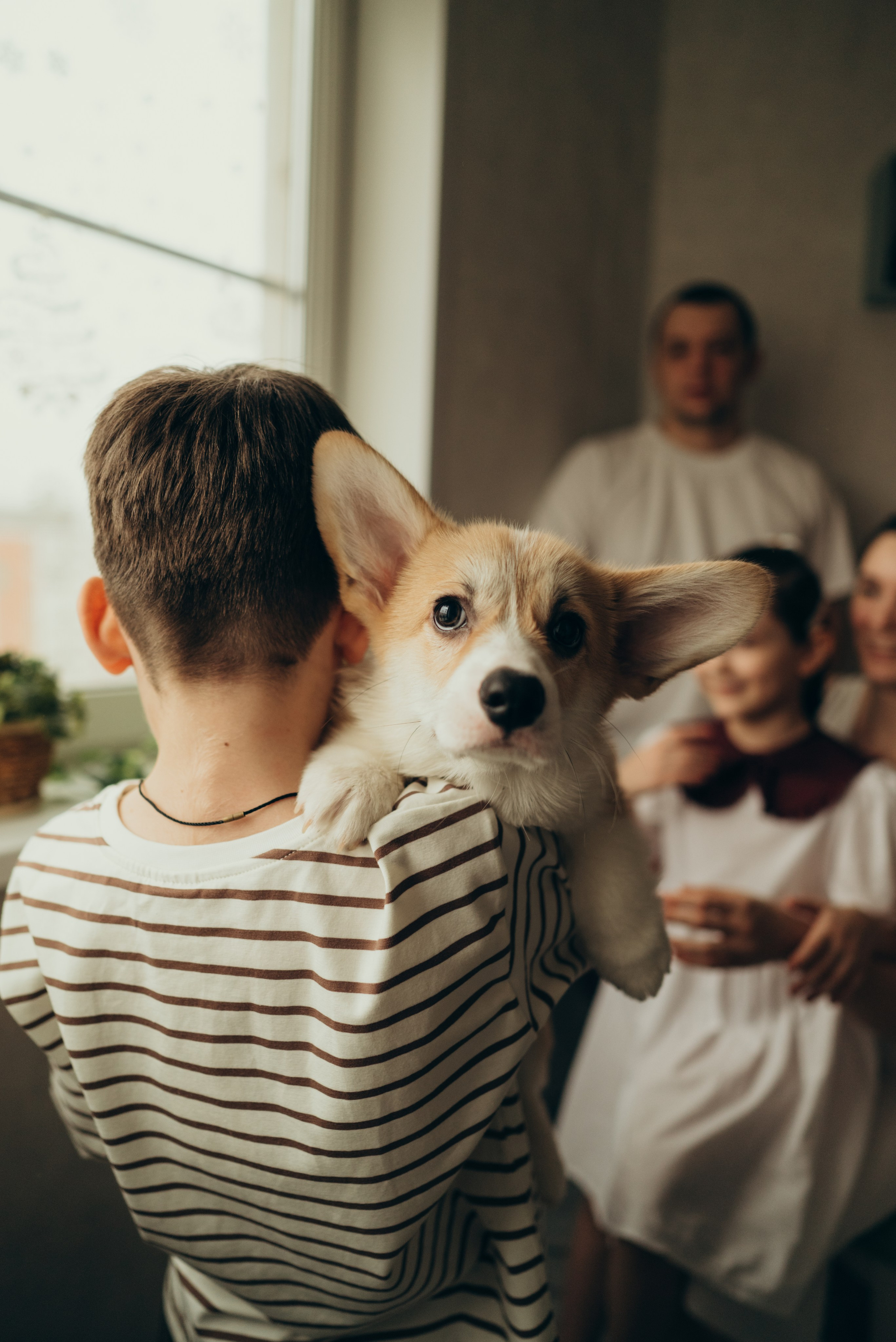 Домашняя. Семейный фотограф в Москве Люберцах Ирина Вронская