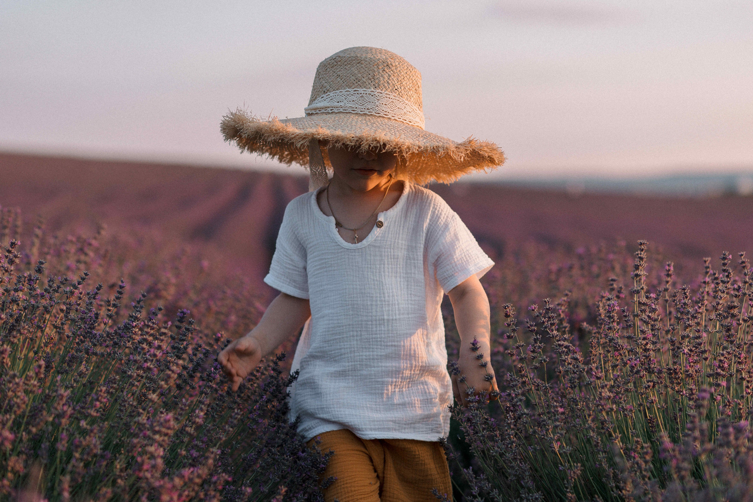 Лаванда. Свадебный фотограф Мироманов Николай в Крыму