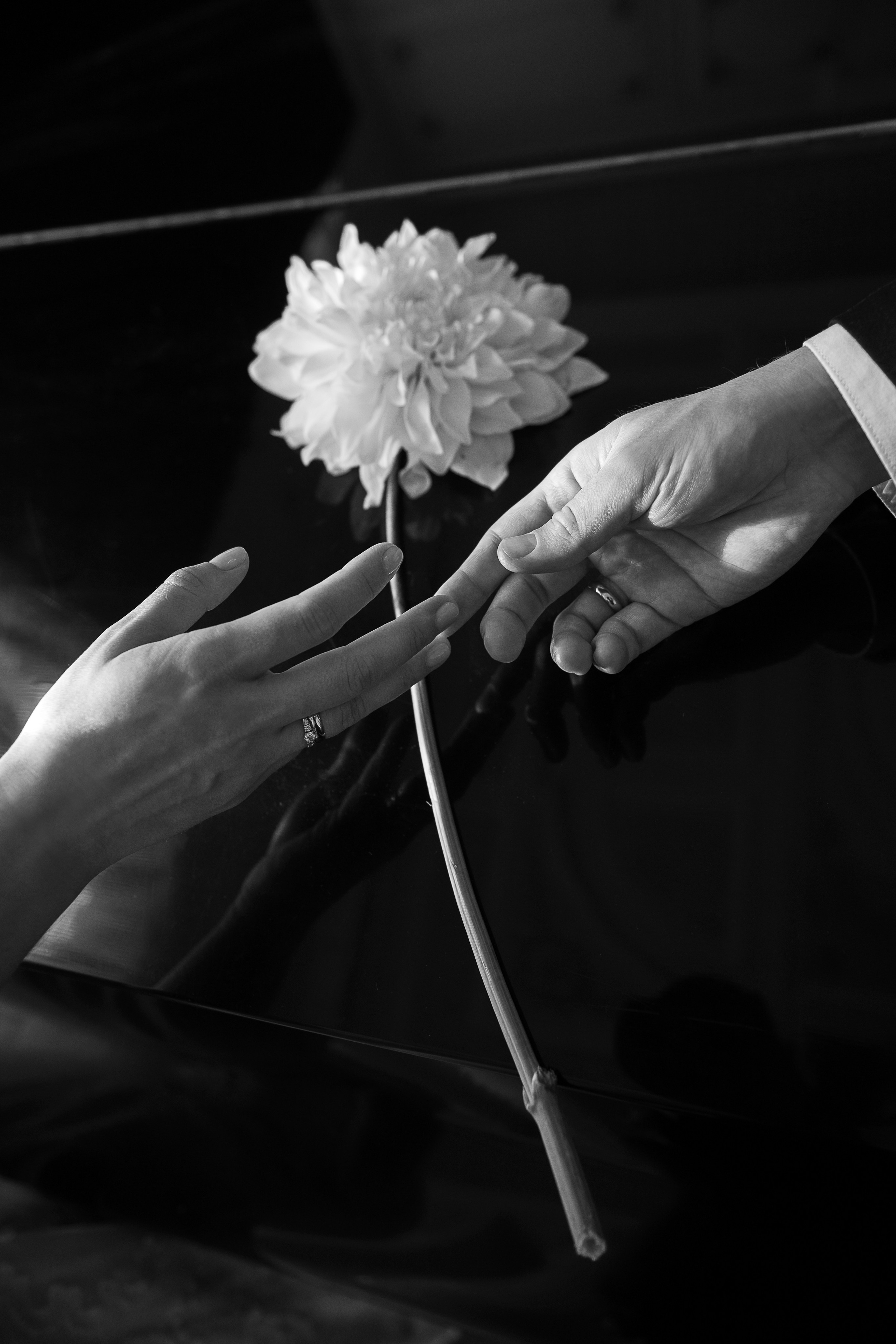 Даша и Лёша. Свадебный фотограф в России и заграницей — Ольга Каретникова