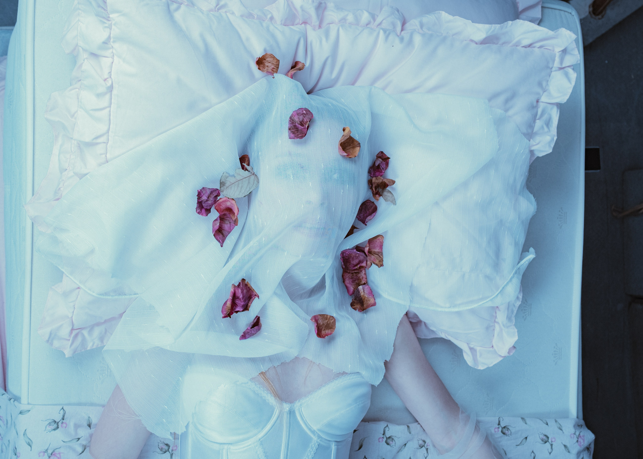 TROP. Портретный фотограф DanilNabody