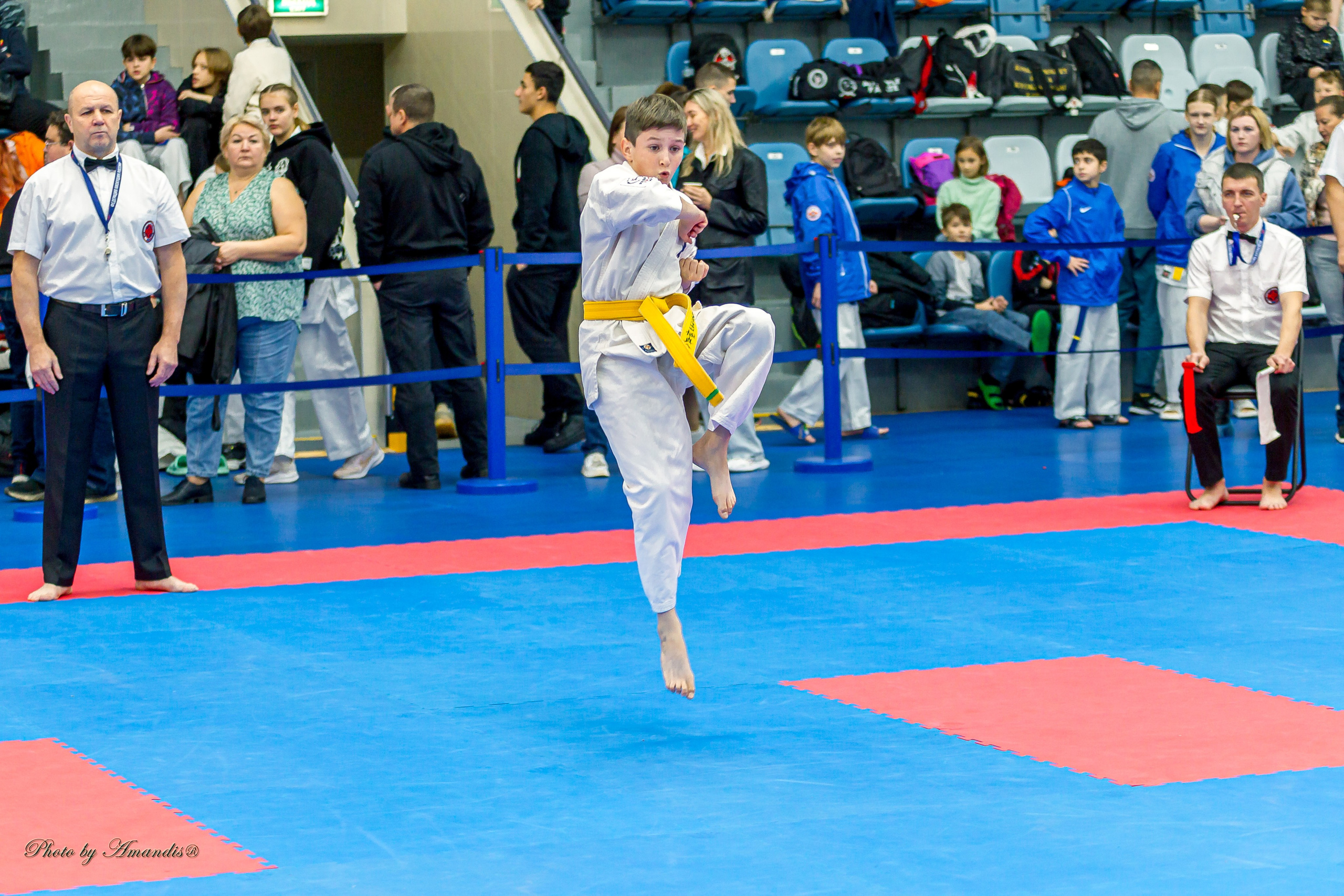 Чемпионат по Киокушинкай Центрального Федерального округа. Репортажная съемка в Москве и области. Анималистика