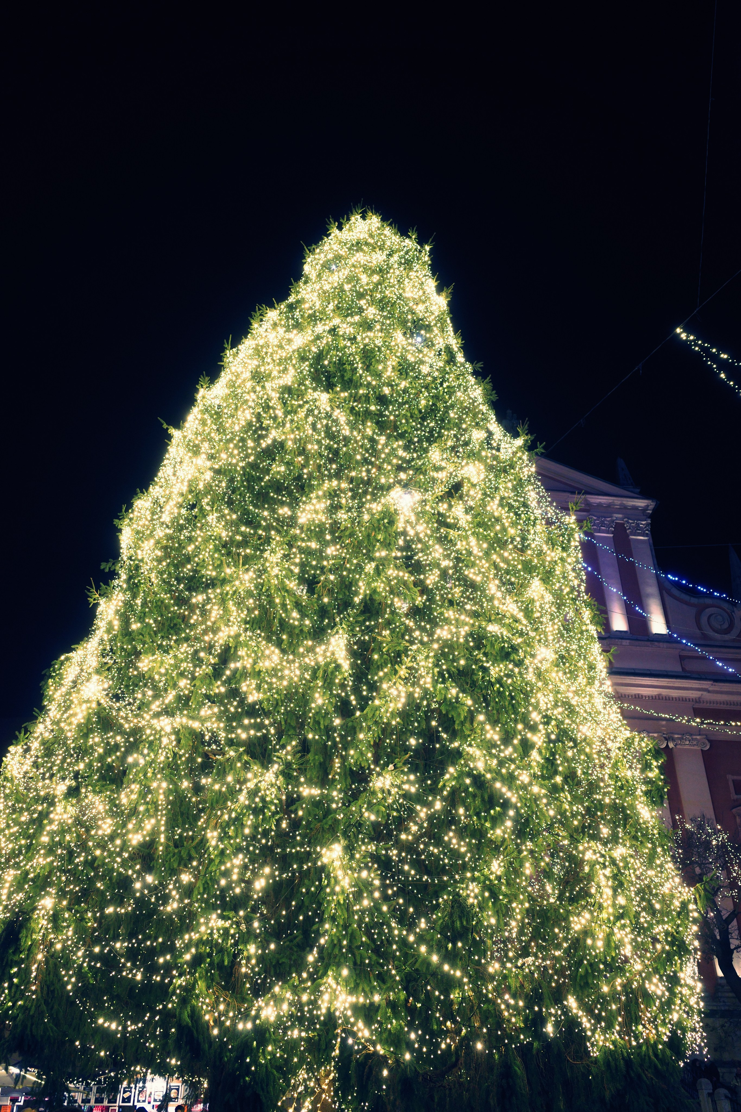 Словения. Фотографирую для себя, своей семьи и друзей!