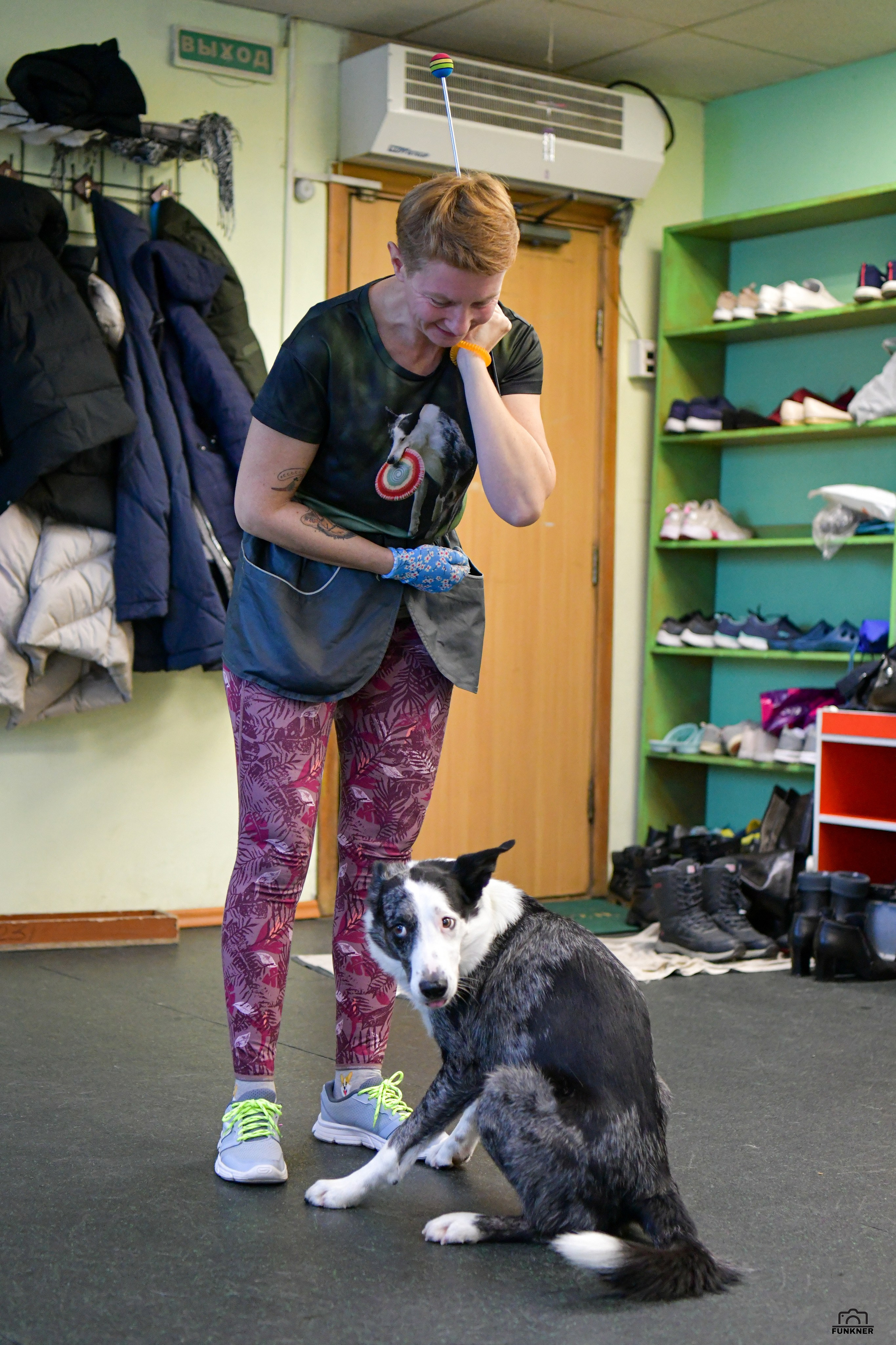 Кинологический клуб «Бодрый хвост». Свой взгляд через объектив