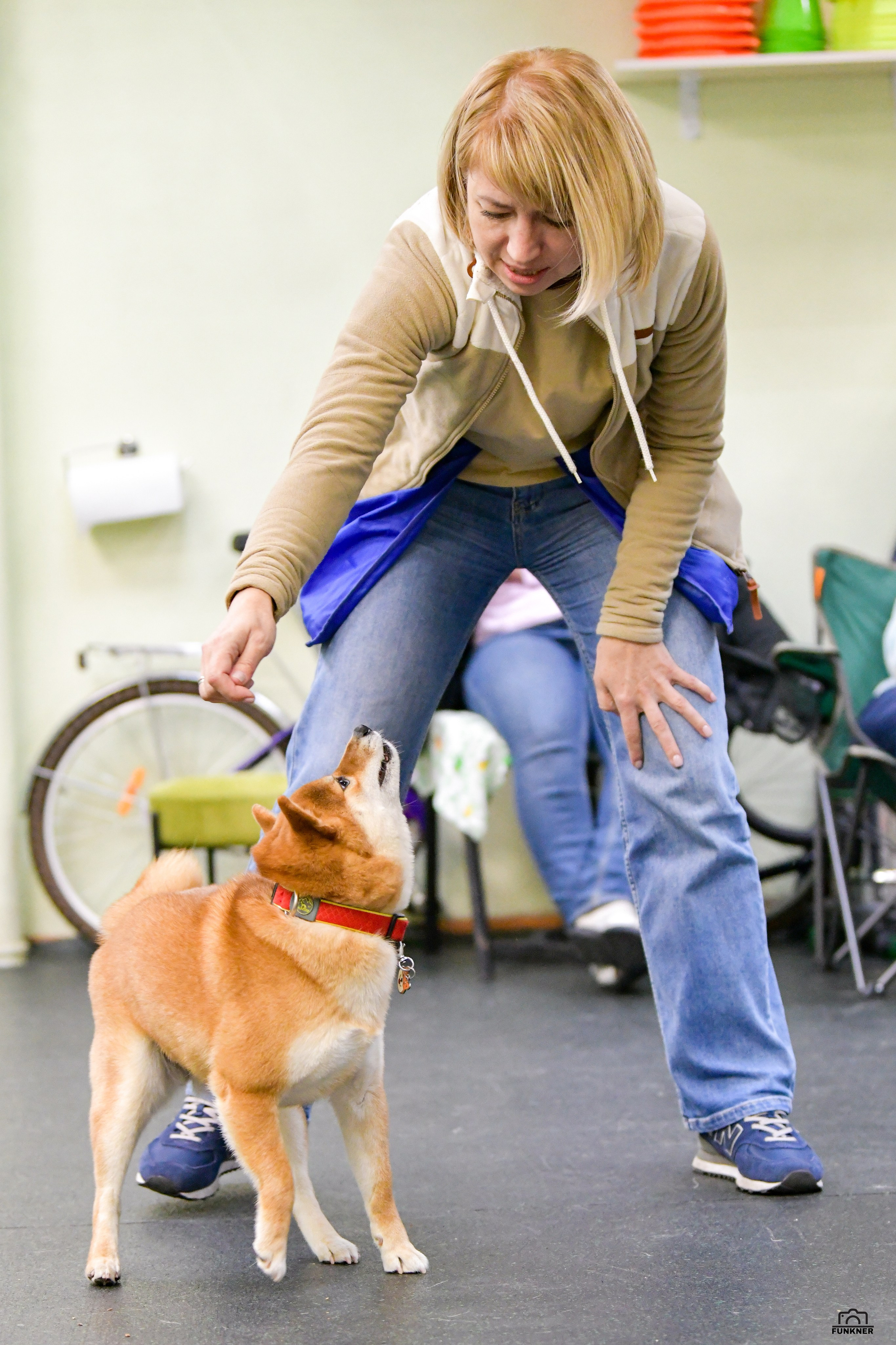 Кинологический клуб «Бодрый хвост». Свой взгляд через объектив