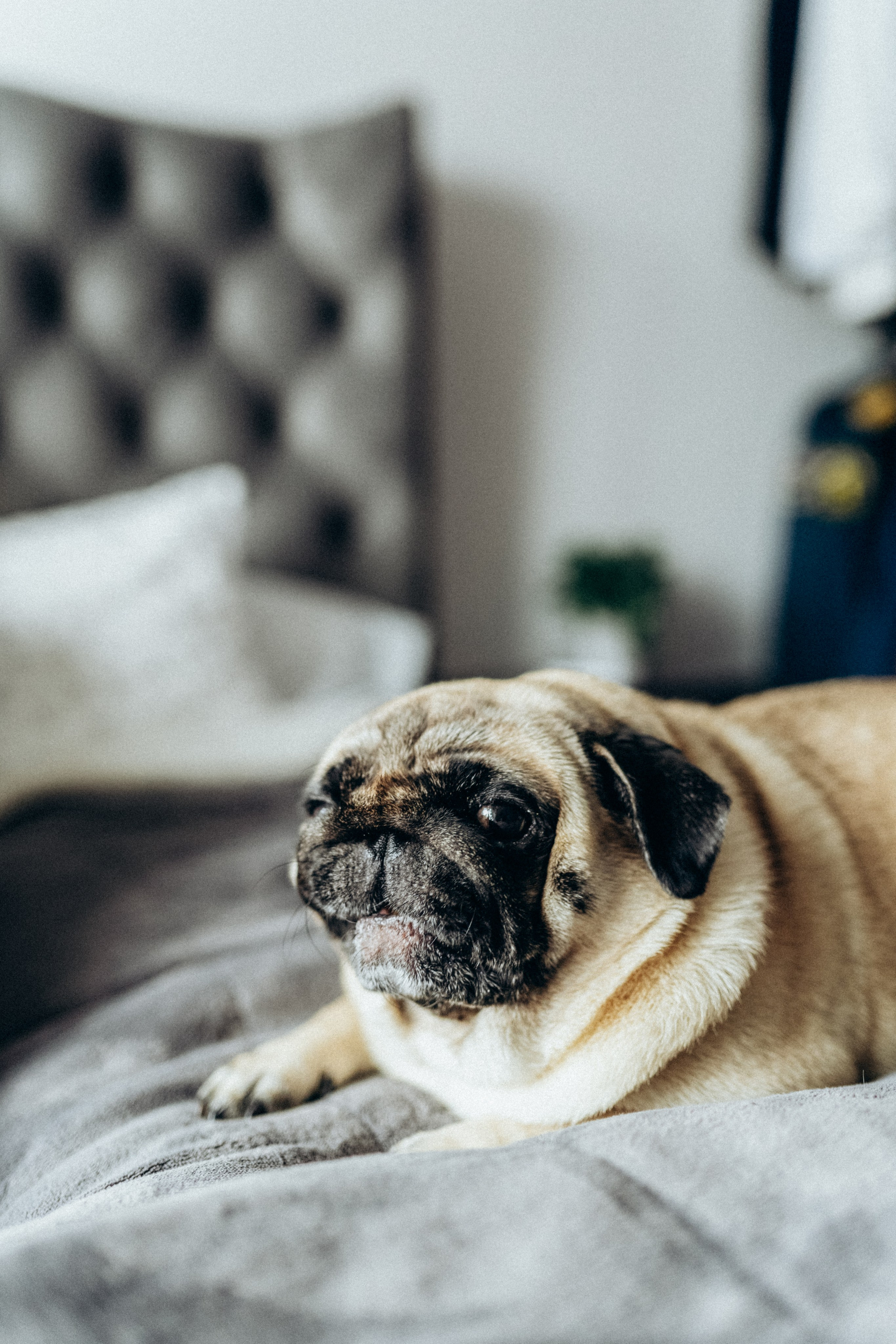 Малыш Федор. Фотограф новорожденных малышей Одинцово/Москва Юлия Скок