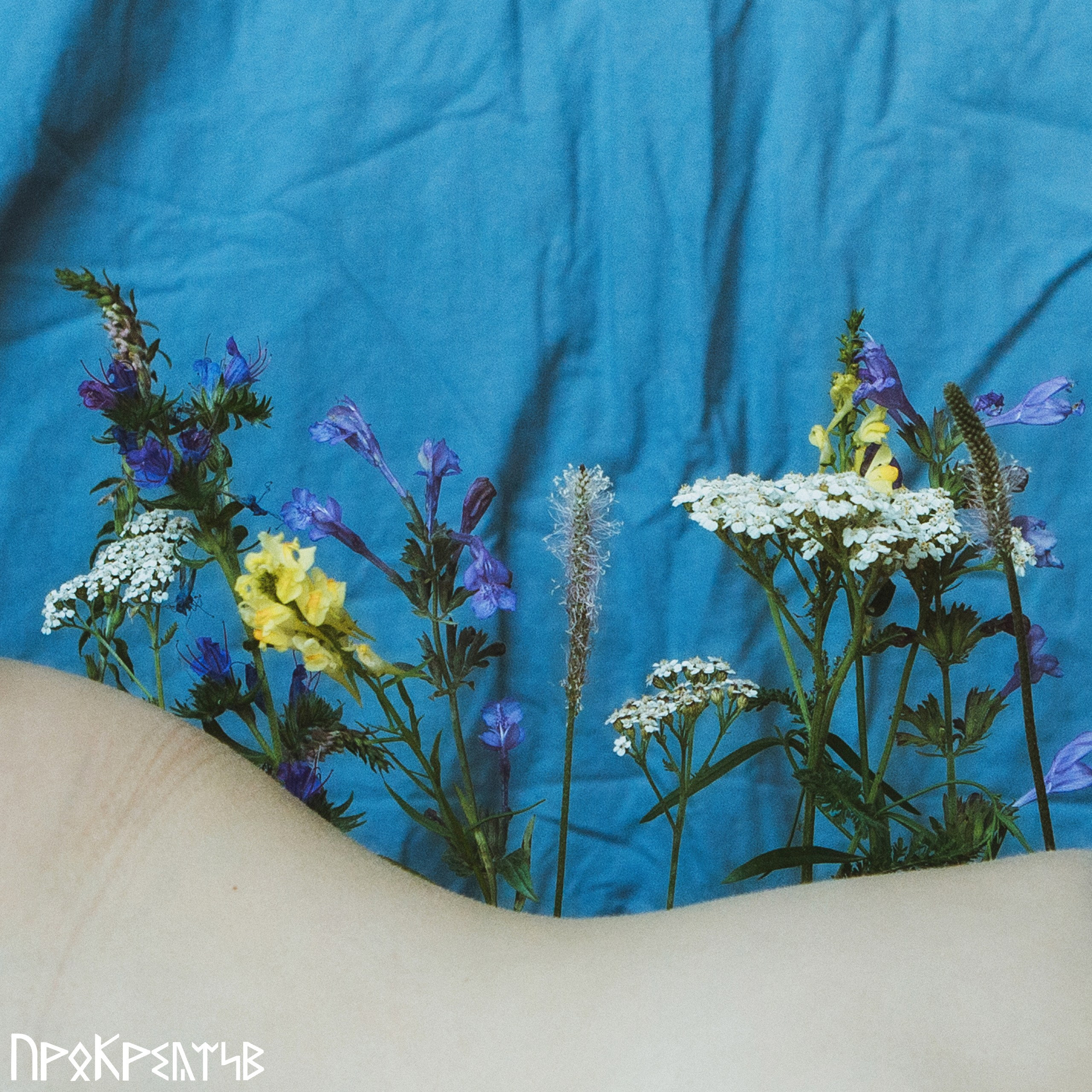 Екатерина Смоляр