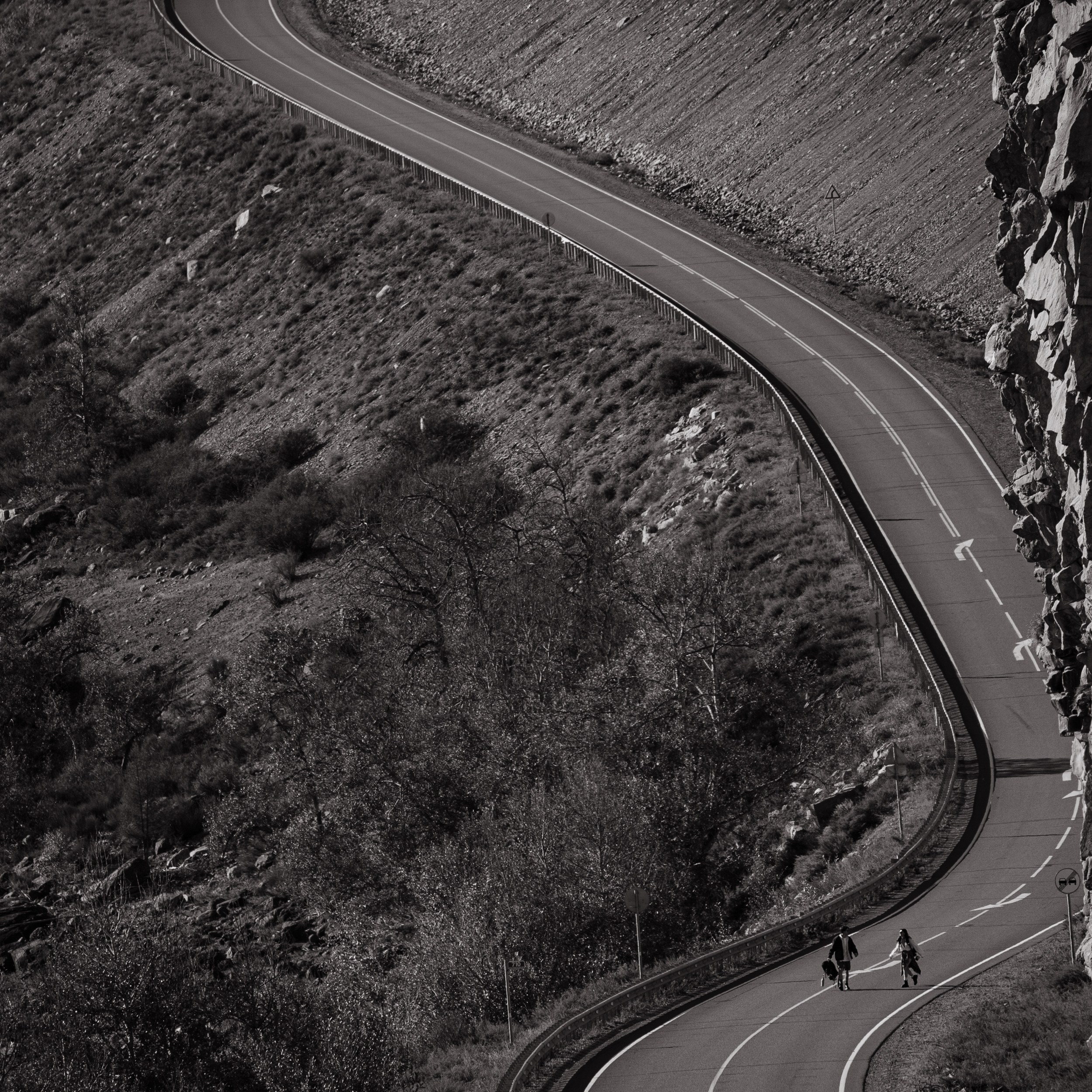 Road Trip. Главная