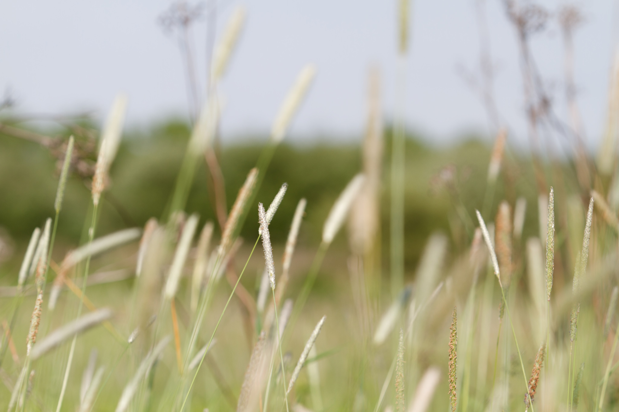 Родео59. Репортажный и спортивный фотограф в г. Пермь Зильберг Павел