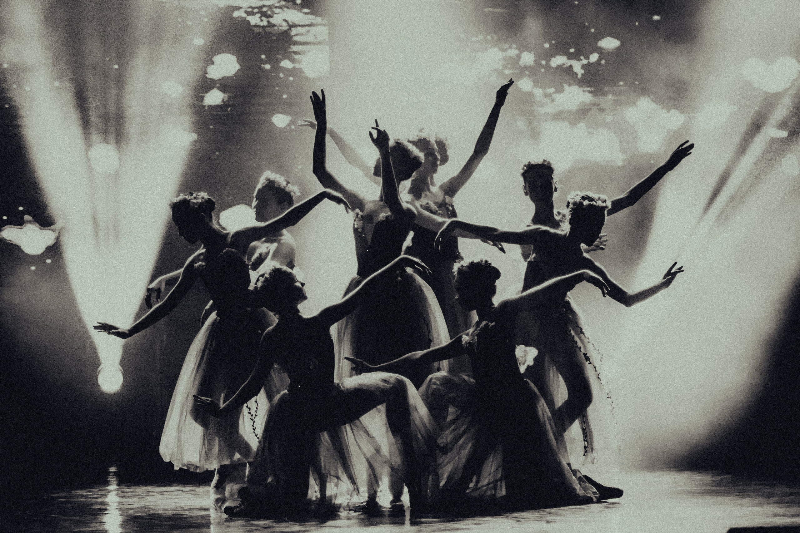 Портфолио. Фотограф — Роман Тихомиров. Выпускные альбомы Иваново / Роман Тихомиров