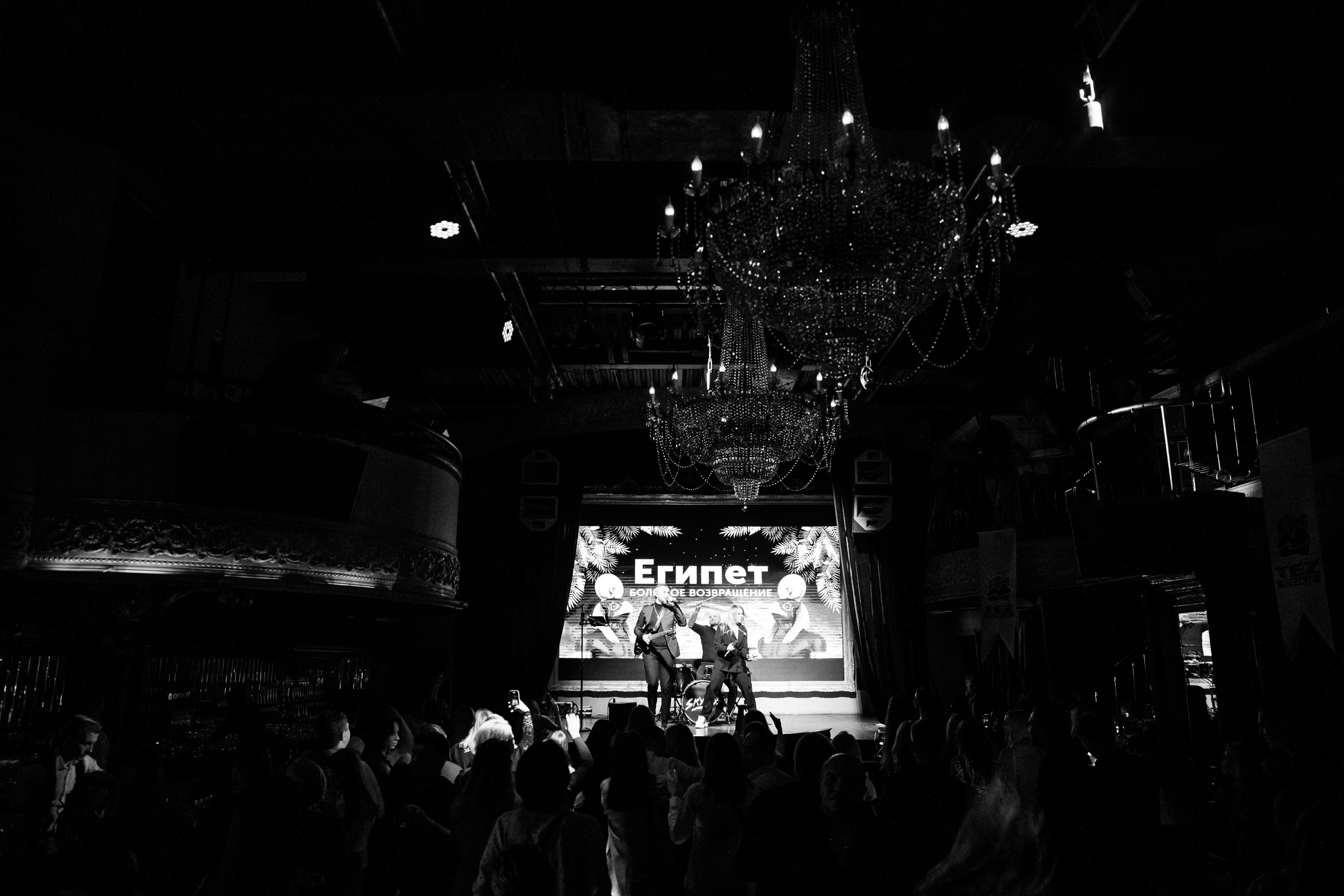 Corporate Event TEZ Tour. Свадебный и репортажный фотограф