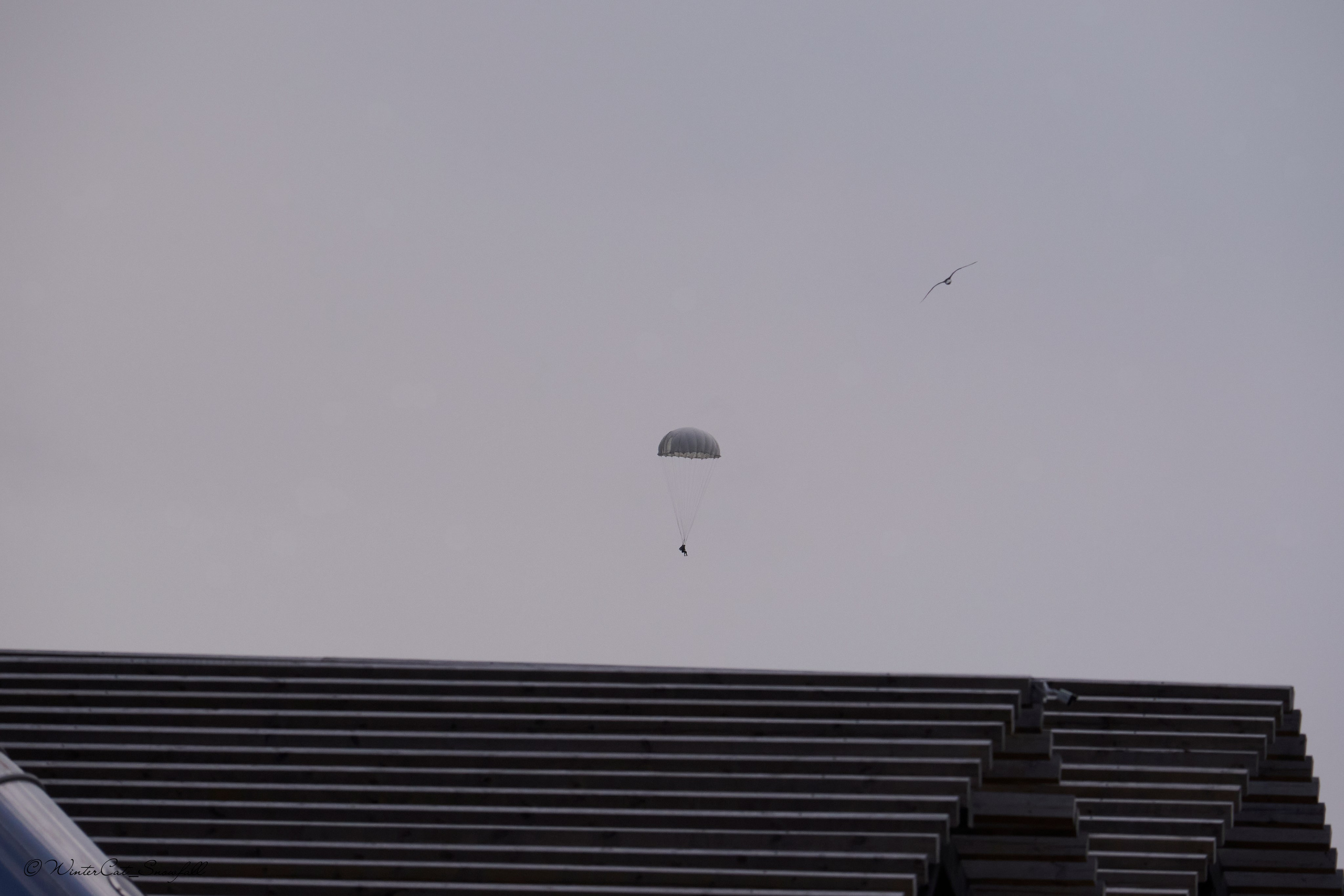 Братина Юбилей 25(2024). Портретный и репортажный фотограф в Магадане Андрей Нефедов WinterCatPhoto