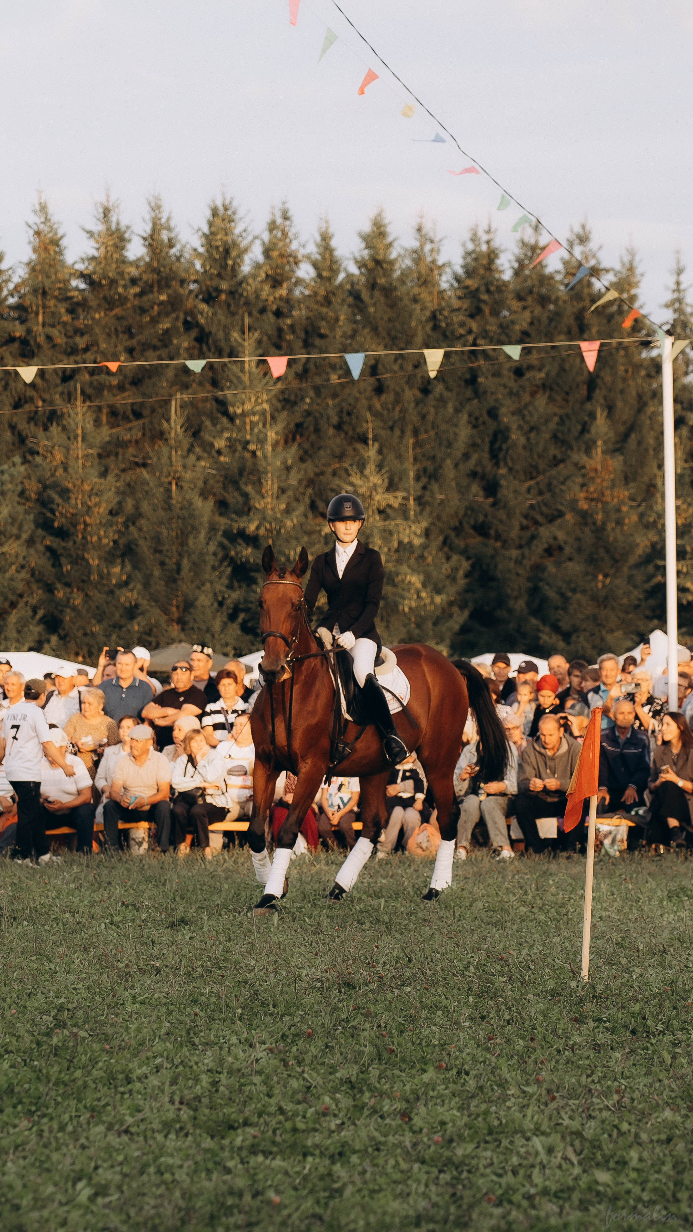 День Коня. Алиса Никитцова | Фотограф в Казани