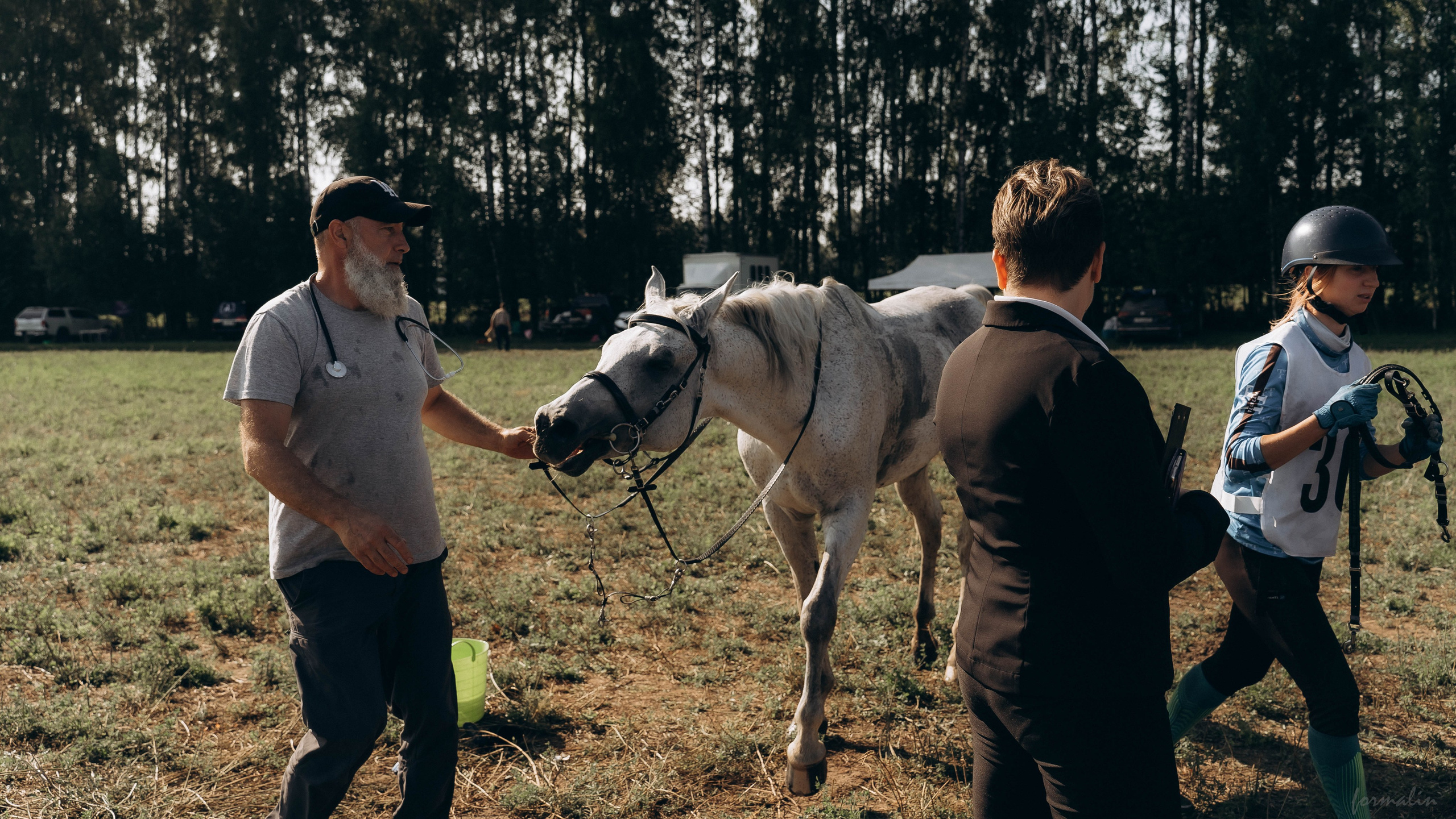 День Коня. Алиса Никитцова | Фотограф в Казани