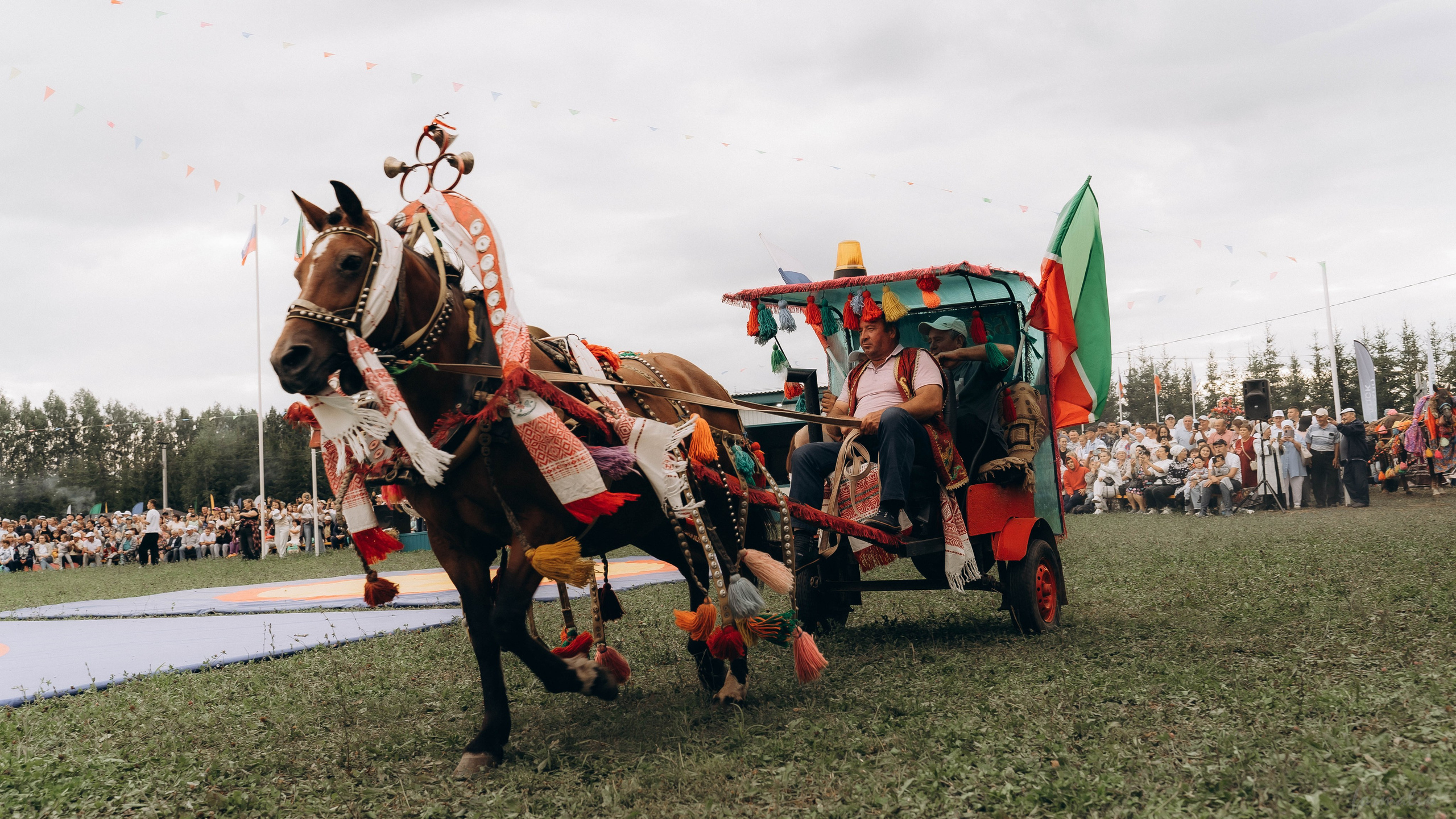 День Коня. Алиса Никитцова | Фотограф в Казани