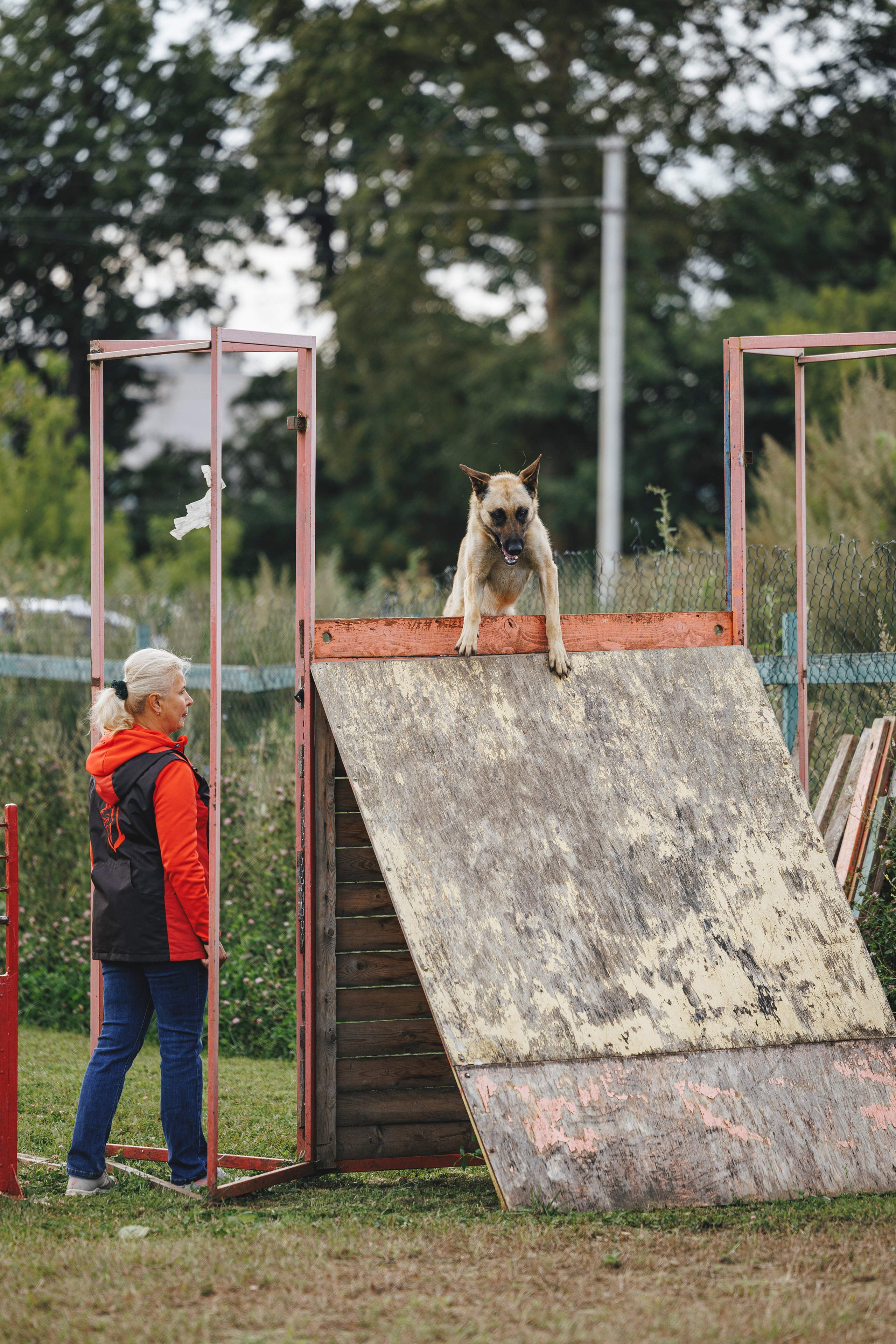 08.08.25-10.08.25 ЧР по мондьорингу г. Вологда. Фотограф-анималист Анна Маринич