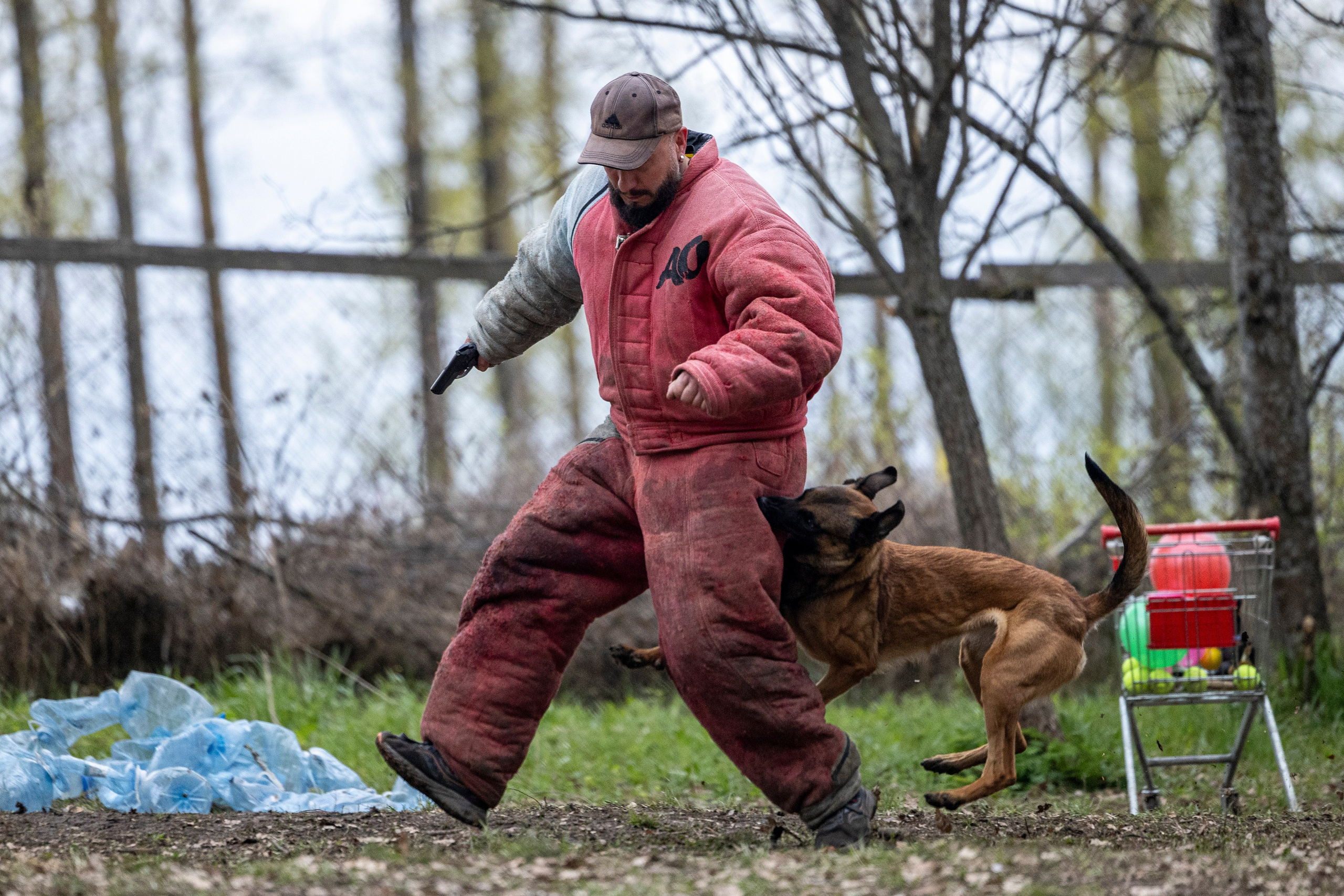 Квалификационные состязания по мондьорингу г. Вологда 11.05.24. Фотограф-анималист Анна Маринич