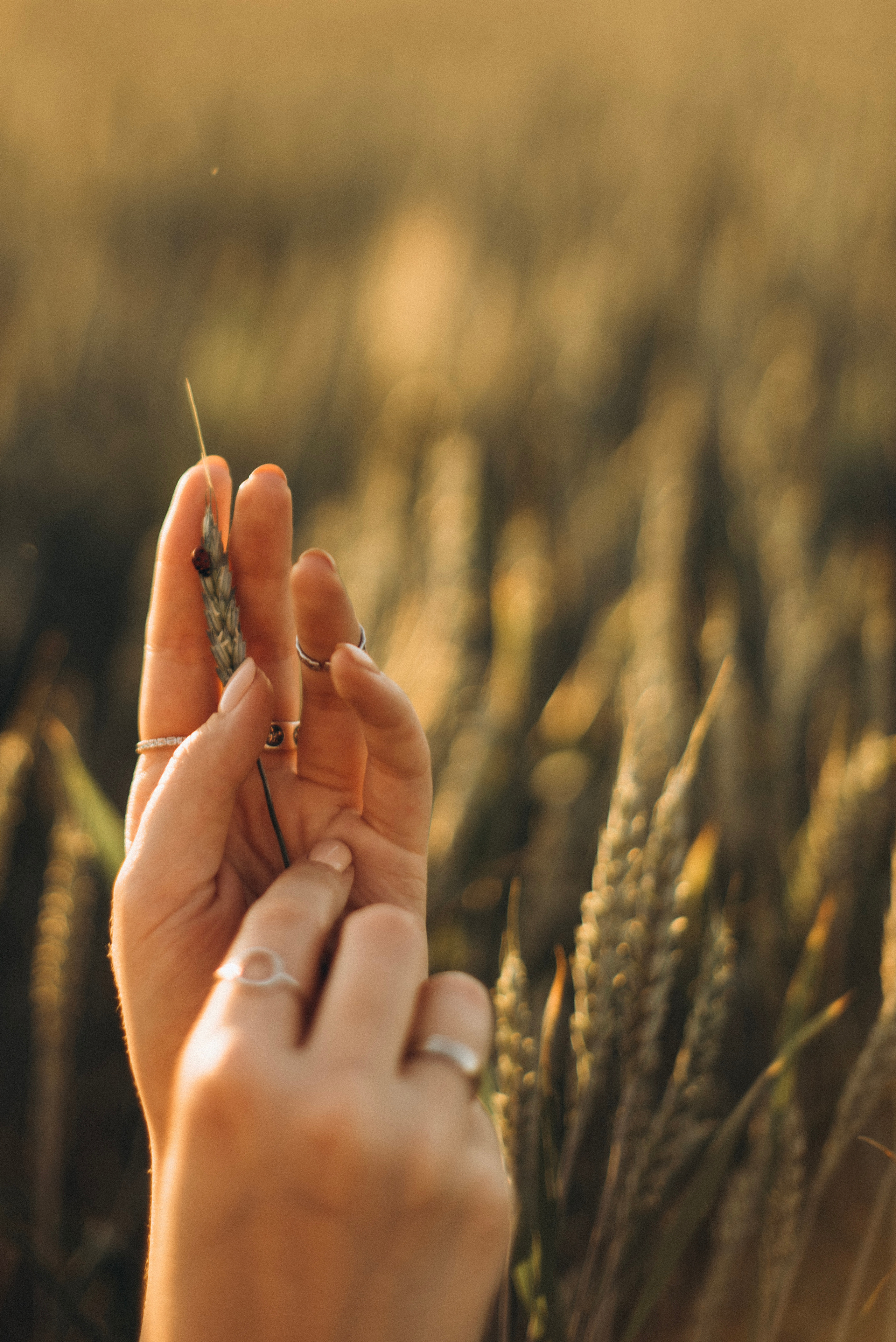 Антон и Света. Фотограф Костикова Анастасия Ростов-на-Дону