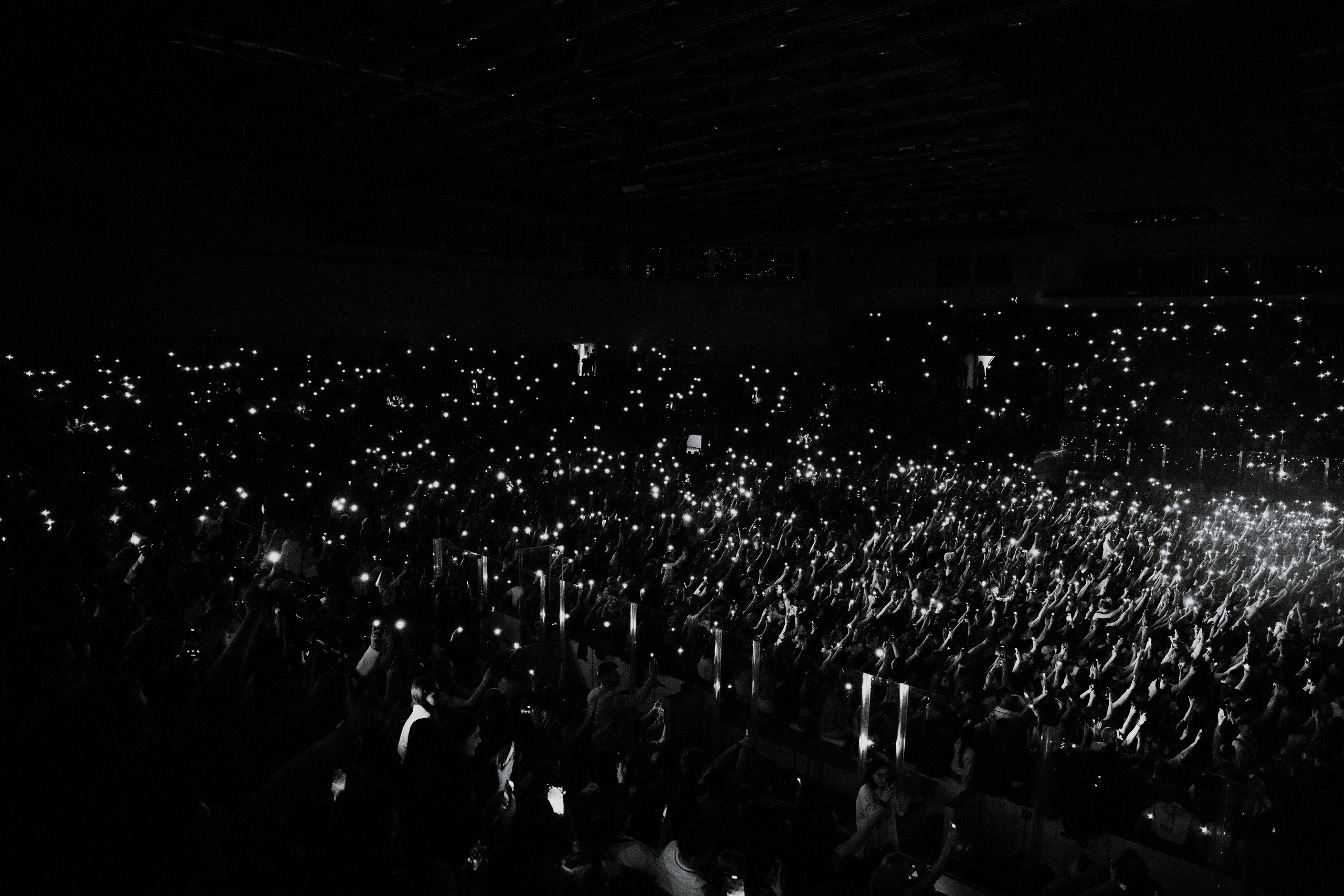 MACAN. Фотограф Москва