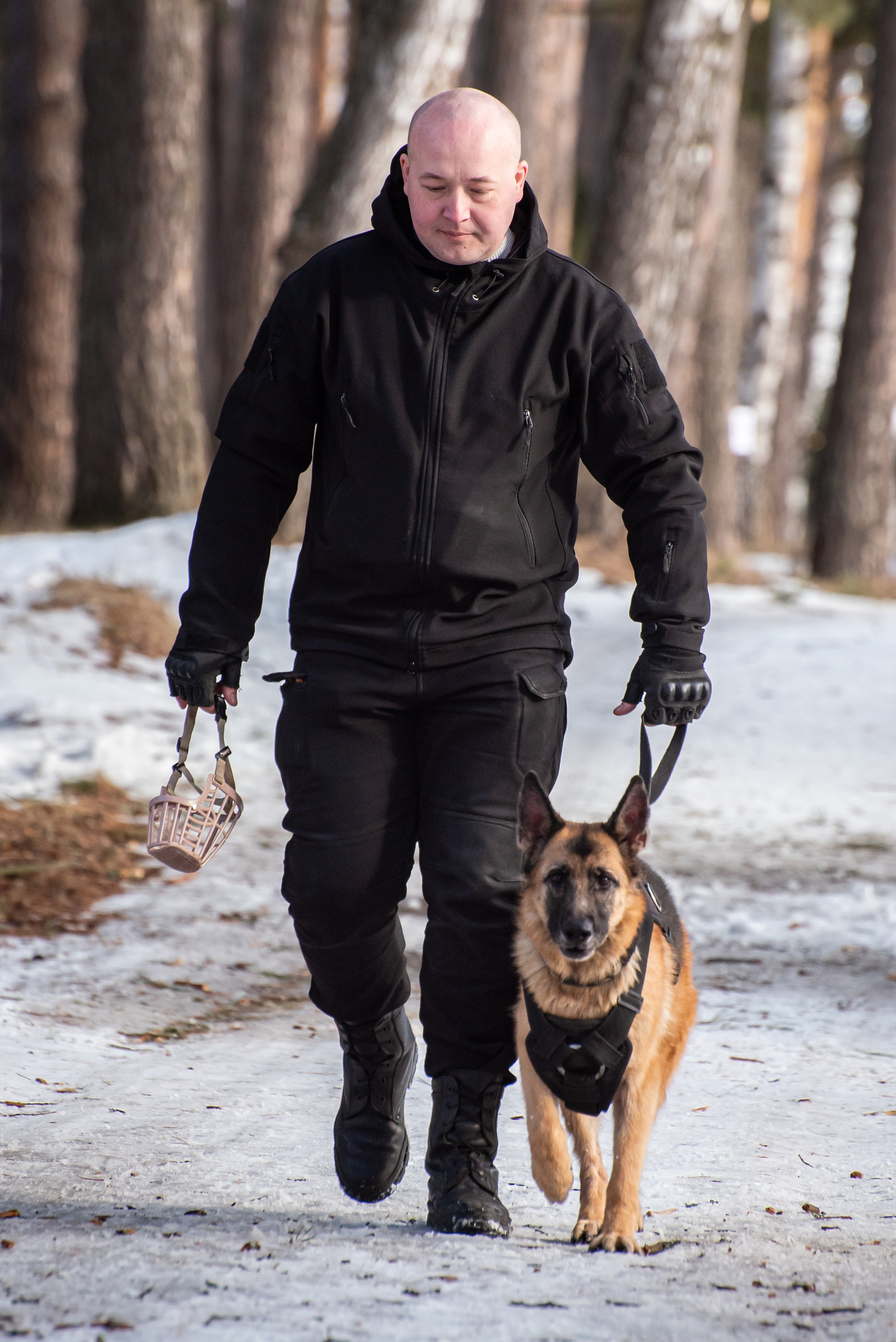 Фотосъёмка с собаками в Кинологическом лагере. Фотограф Макс Огурцов в Нижнем Новгороде