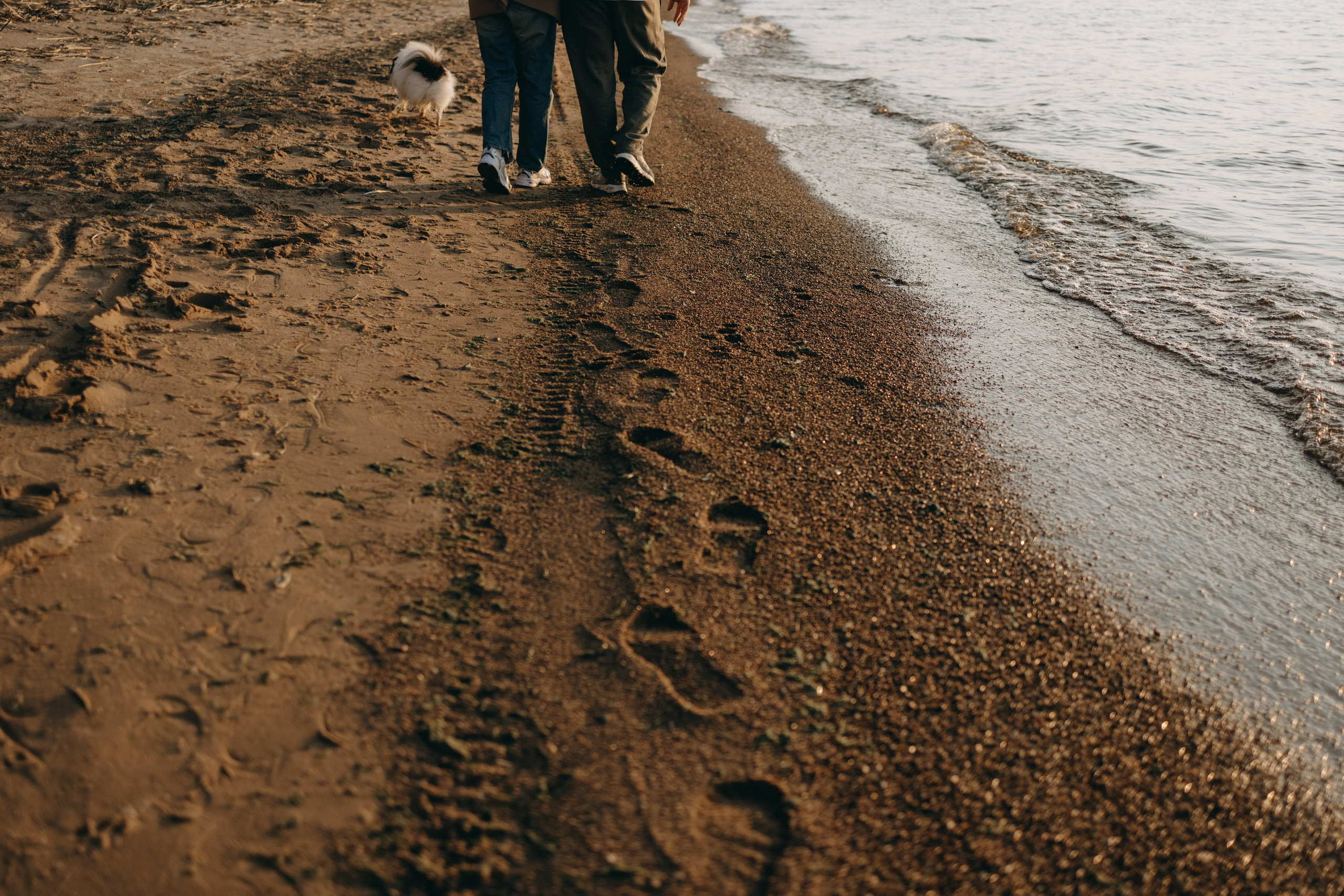 Диана и ее мальчики. Фотограф — Анималист | Санкт-Петербург