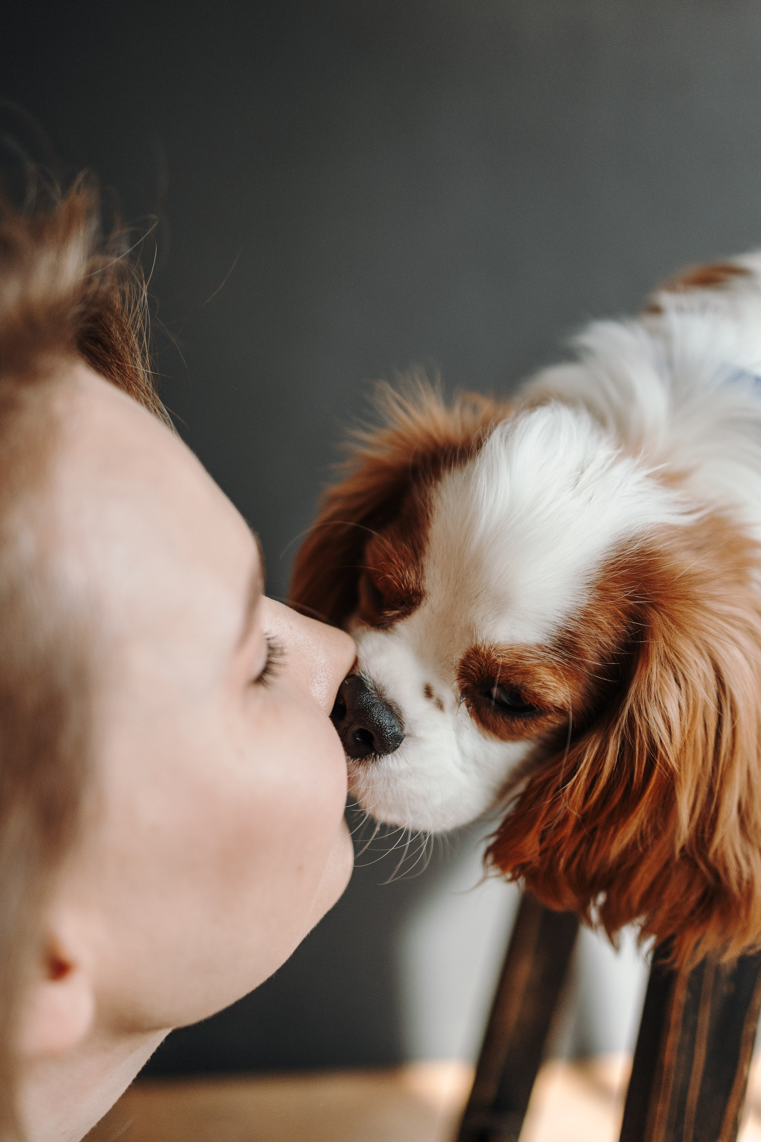 Плуто и его семья. Фотограф — Анималист | Санкт-Петербург