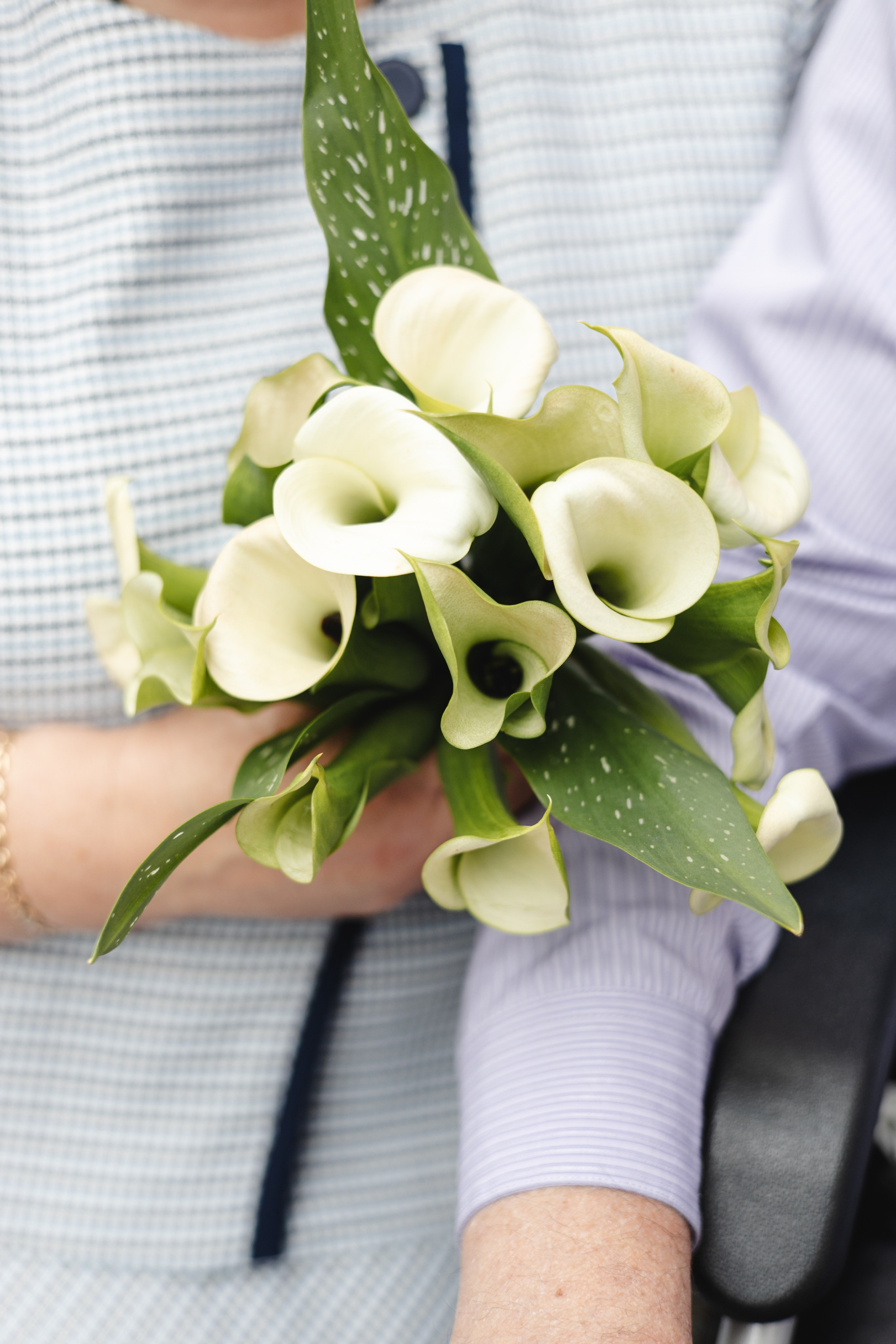 Борис и Елена. Репортажный ивент фотограф СПб Кирилл Зубков