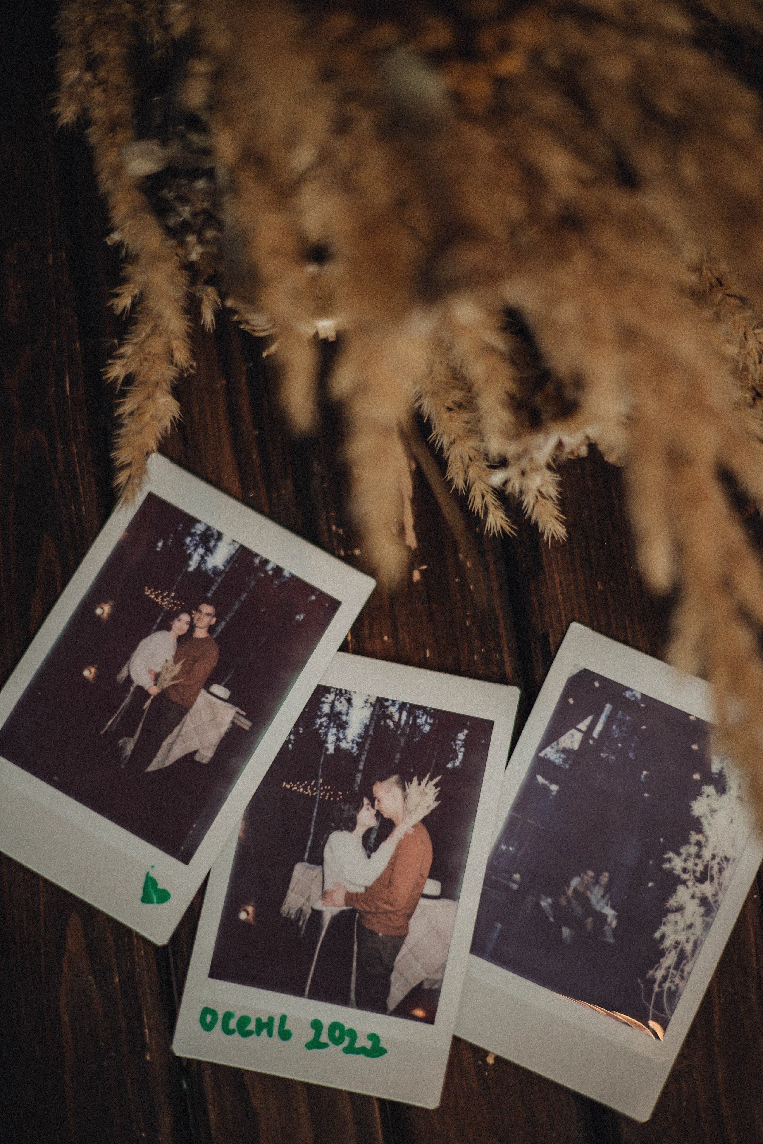 Макс & Кристина. Домик в лесу. Свадебный и семейный фотограф Пушкин Царское Село СПБ Питер Санкт-Петербург и Рязань Ольга Козлова