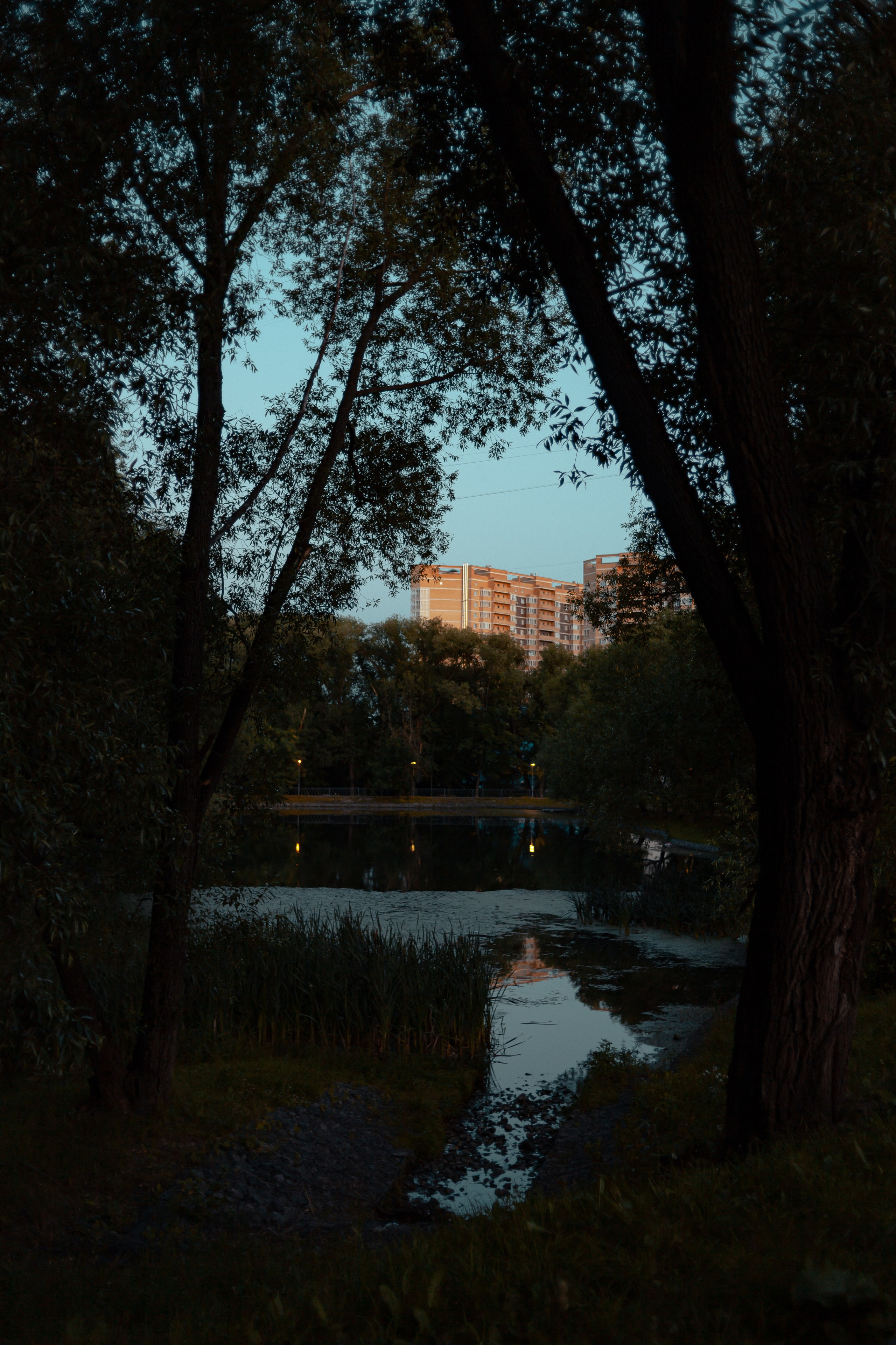 Летний вечер. Папка кадров 📁