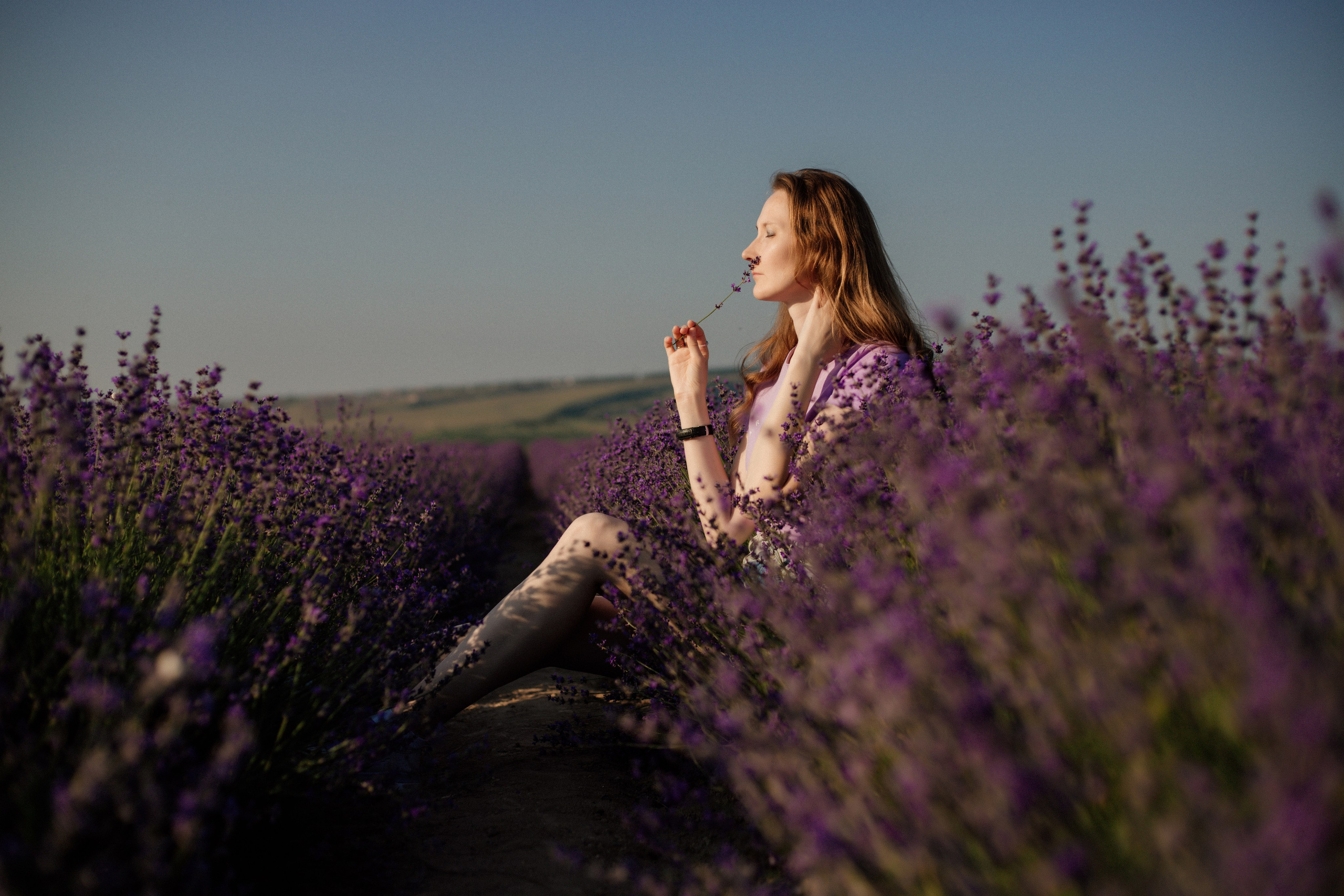 Лаванда. Фотограф и Видеограф Севастополь Крым