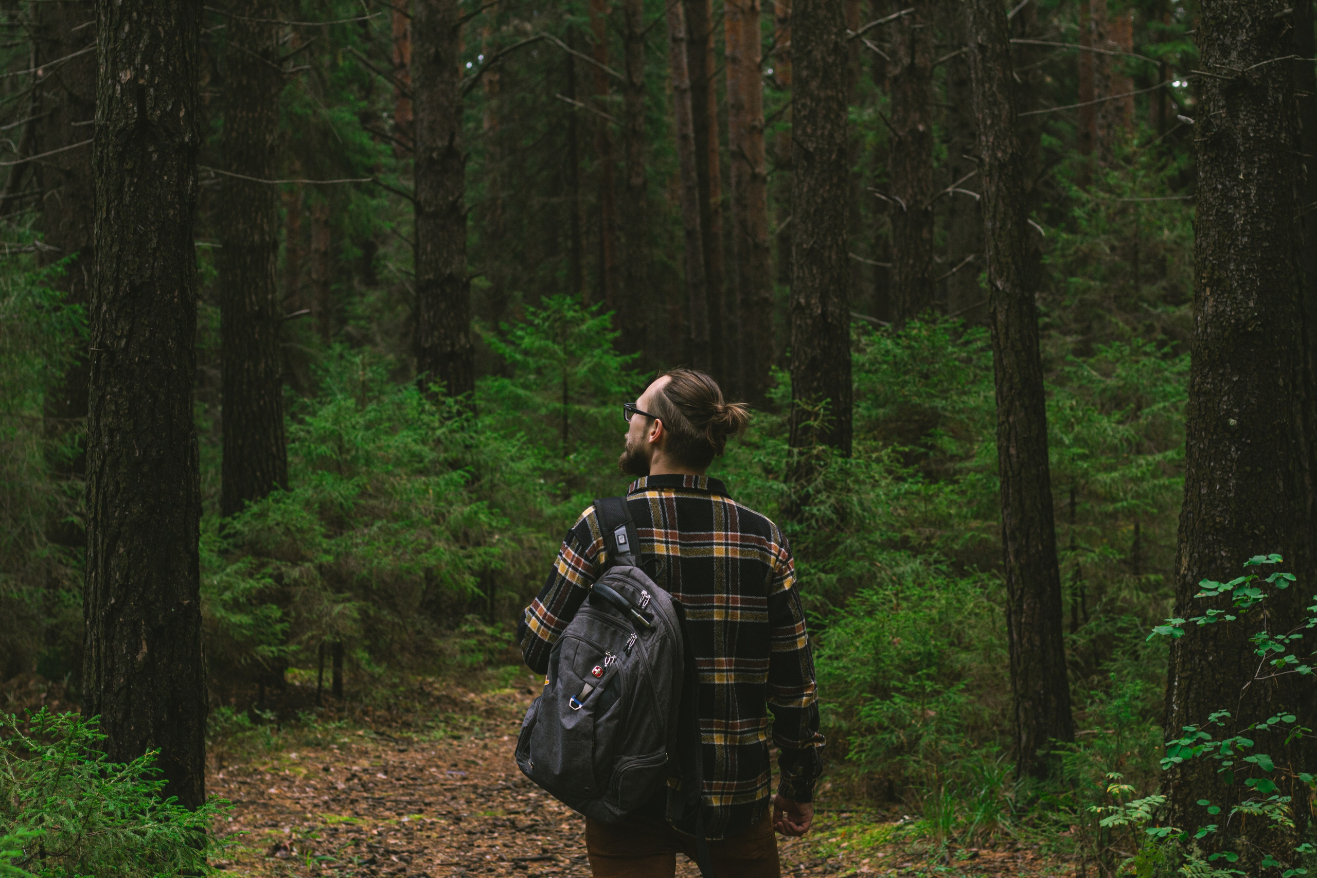 Александр и лес. Фотограф из Первоуральска Роман Заиченко