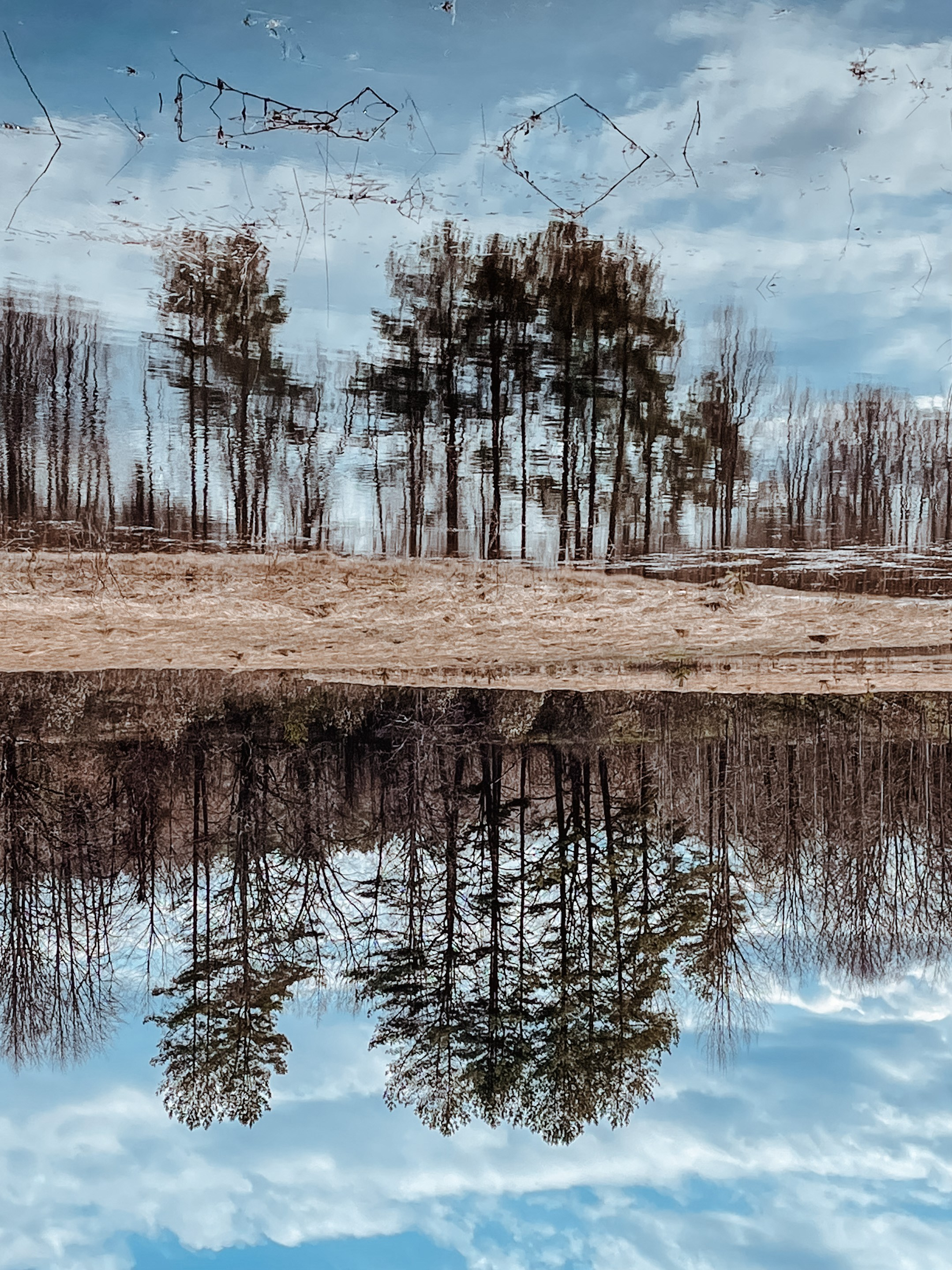 Пейзаж. Фотограф Олеся Шипихина г. Москва