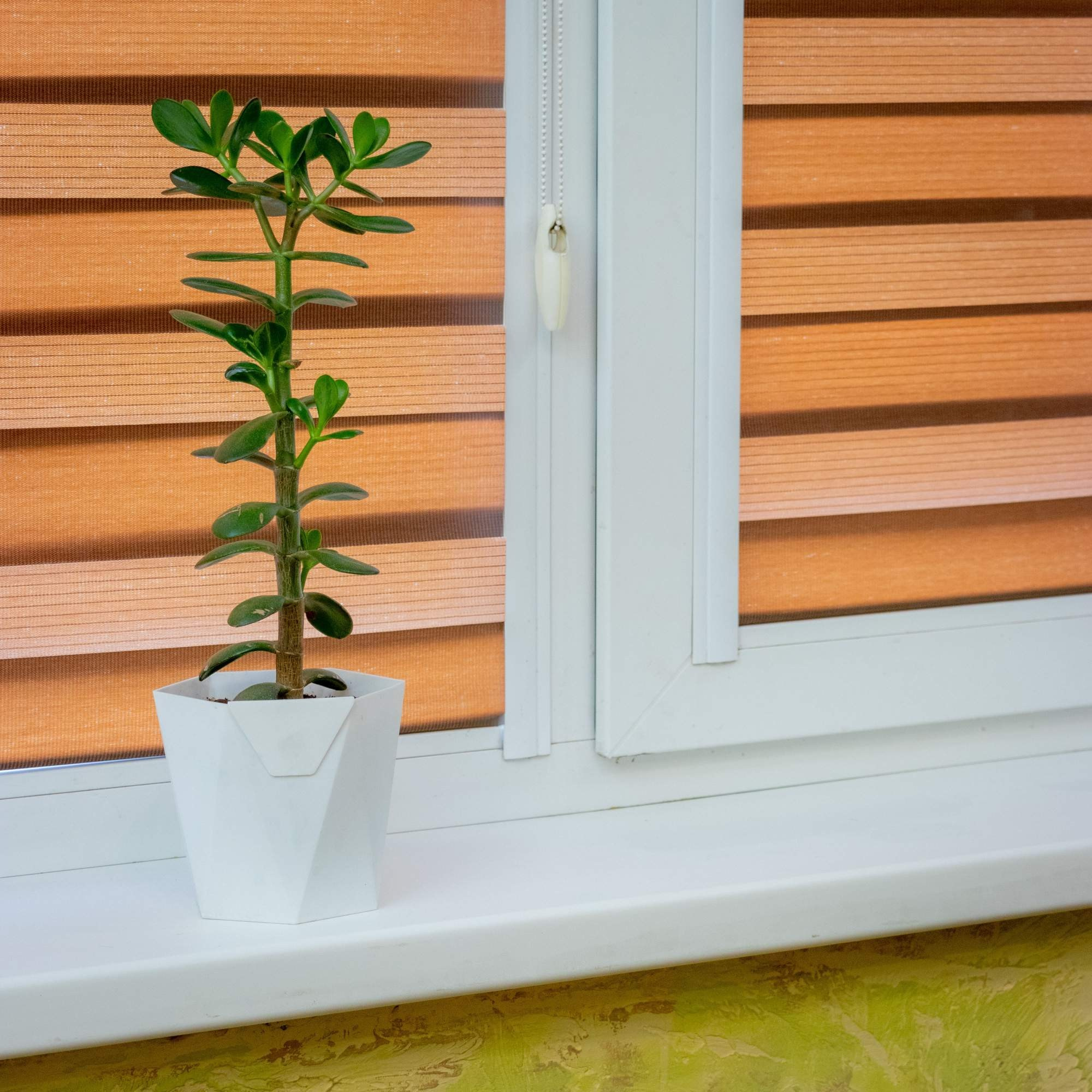 Съемка в интерьере. Leclerc-studio