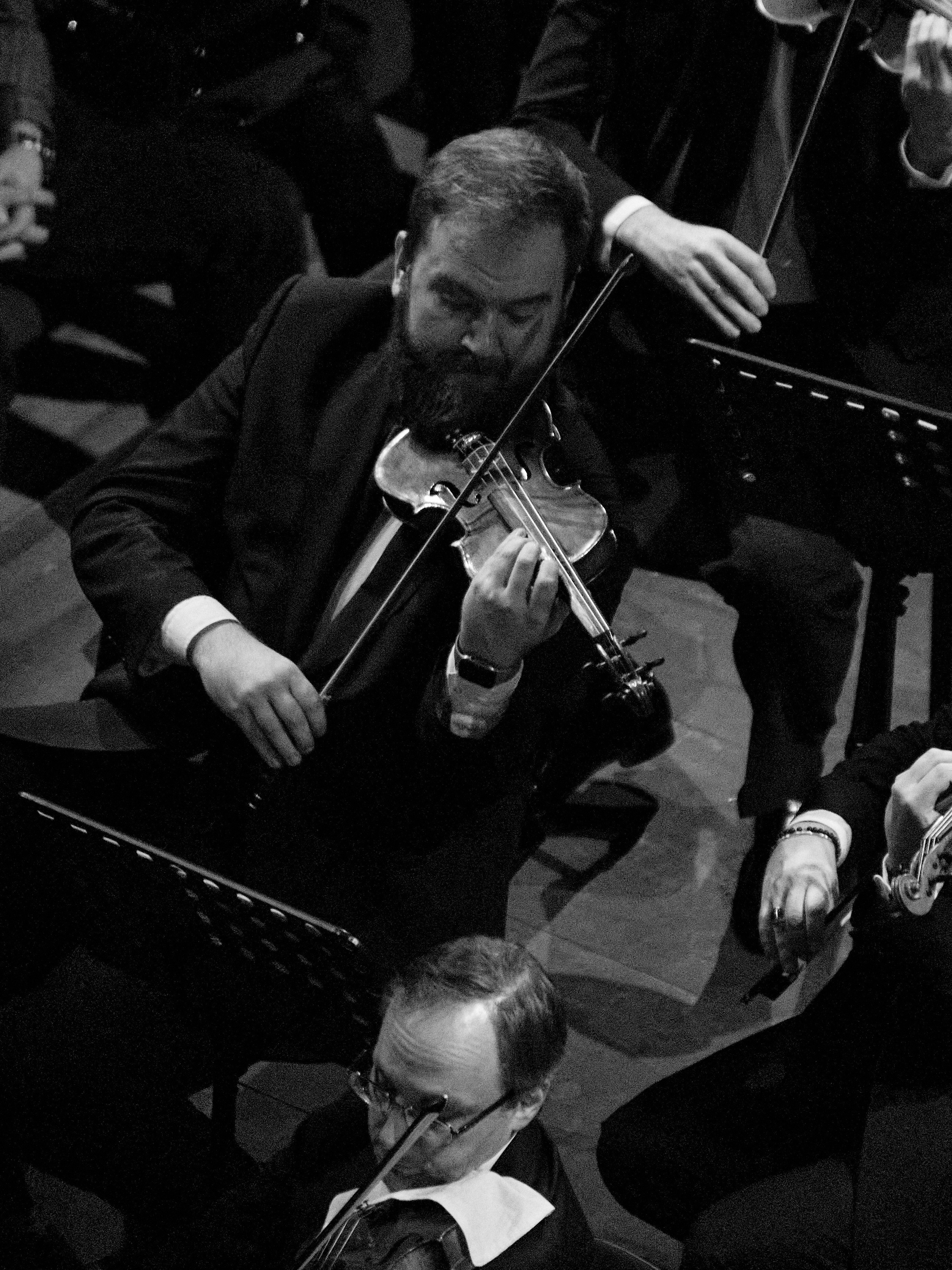 MusicAeterna. Фотограф Юлия Маринина