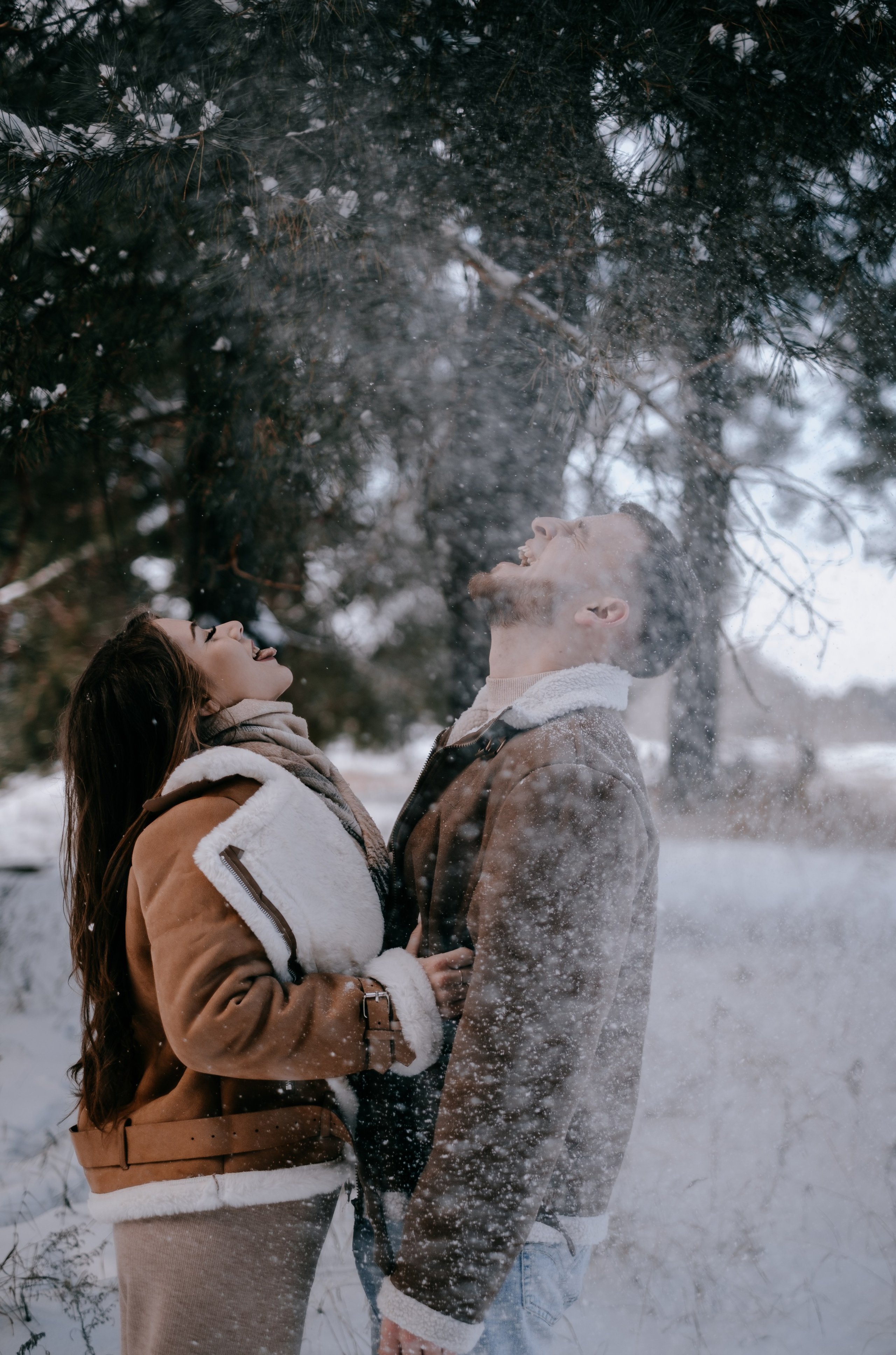 Звенит январская вьюга!. Photographer Victoria Slavnova