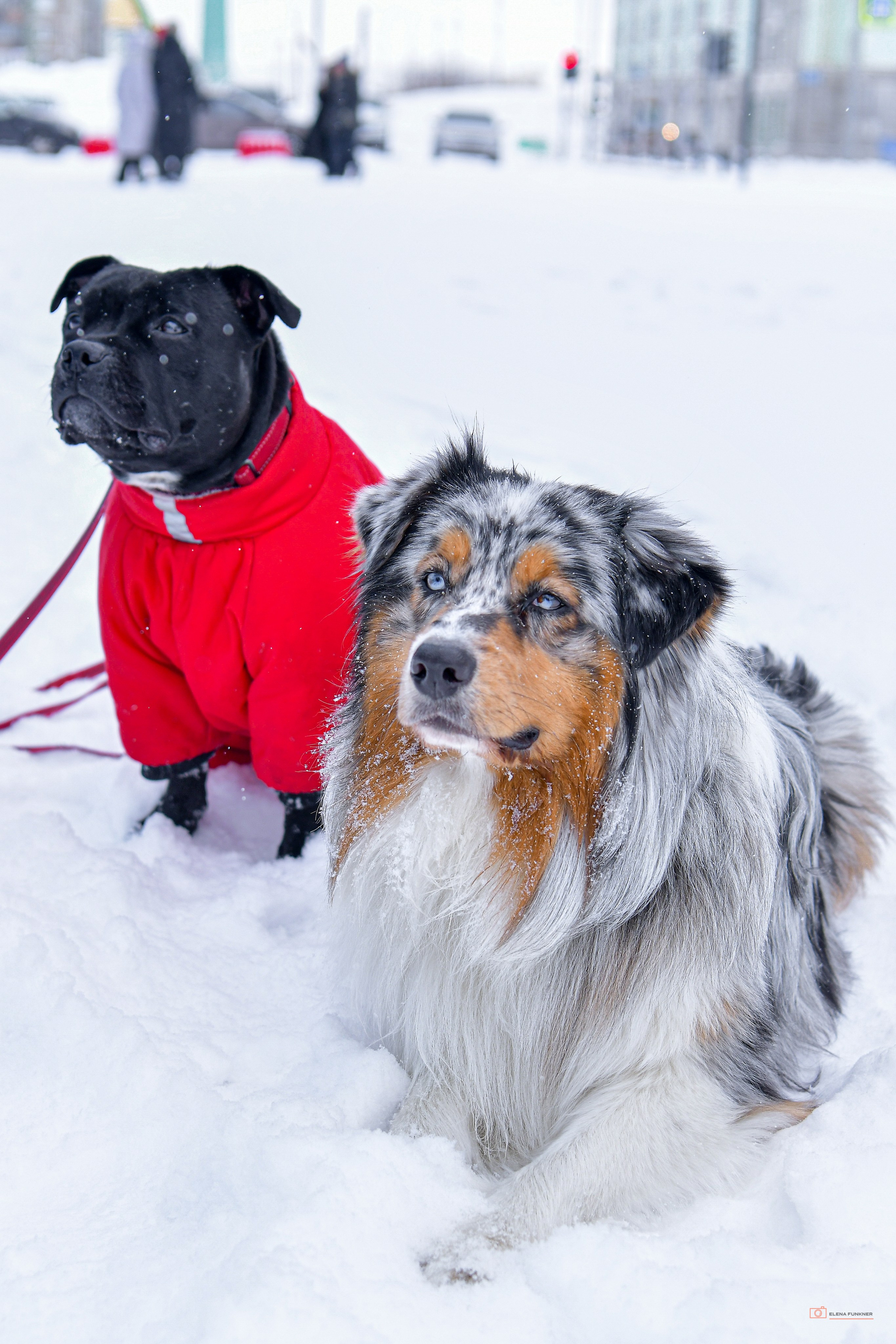 Зима. Свой взгляд через объектив