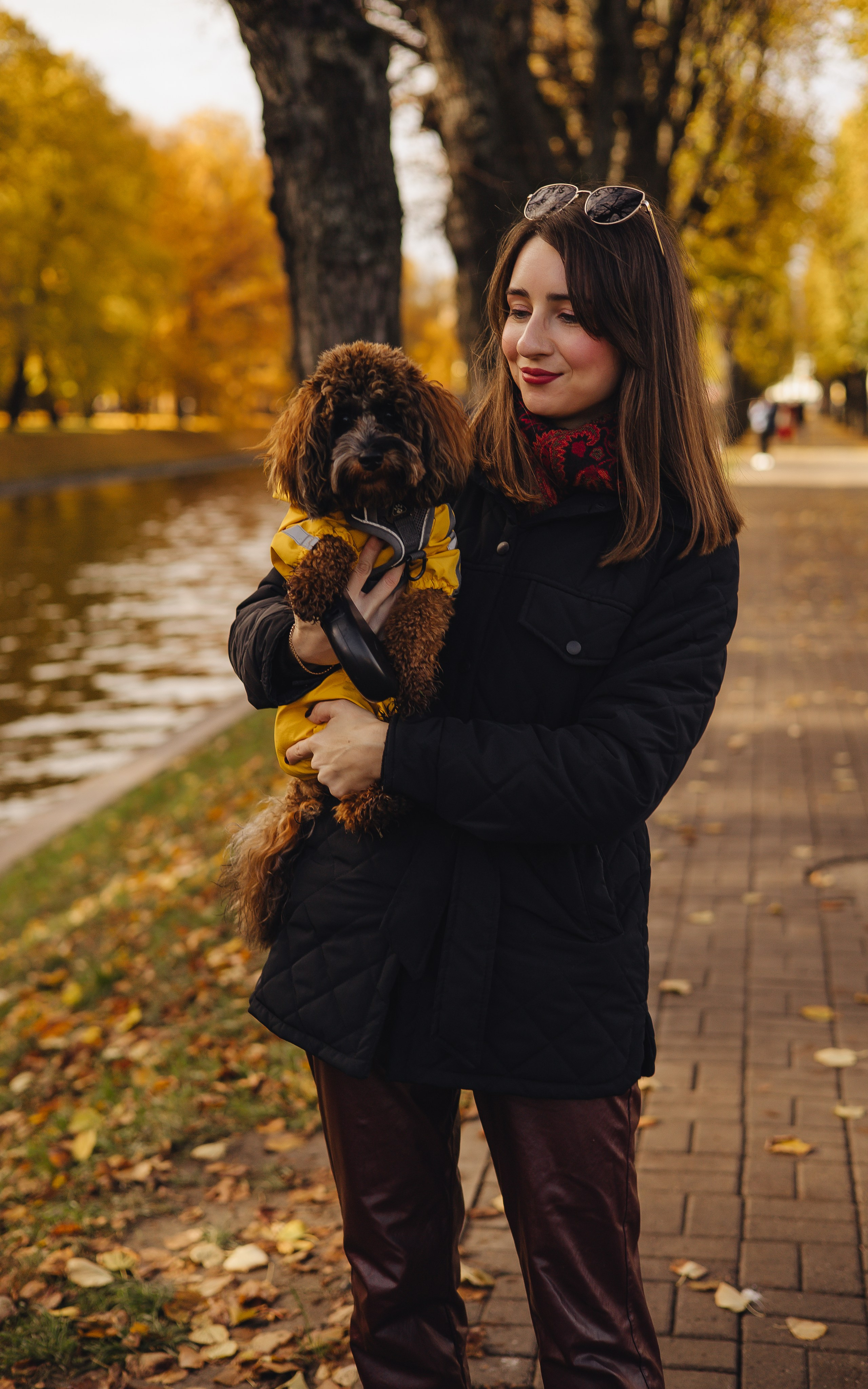 Летающая Мерси