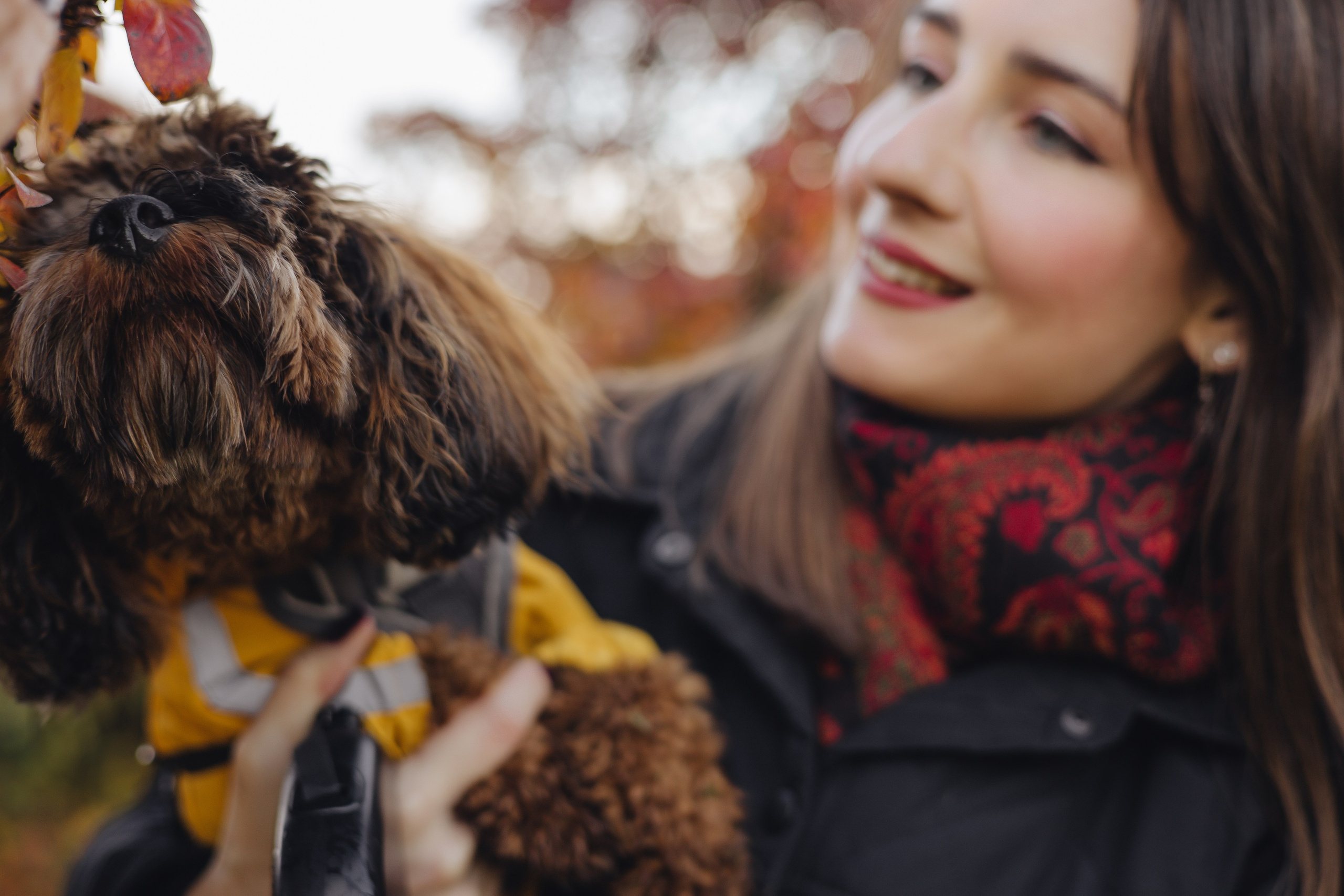 Летающая Мерси