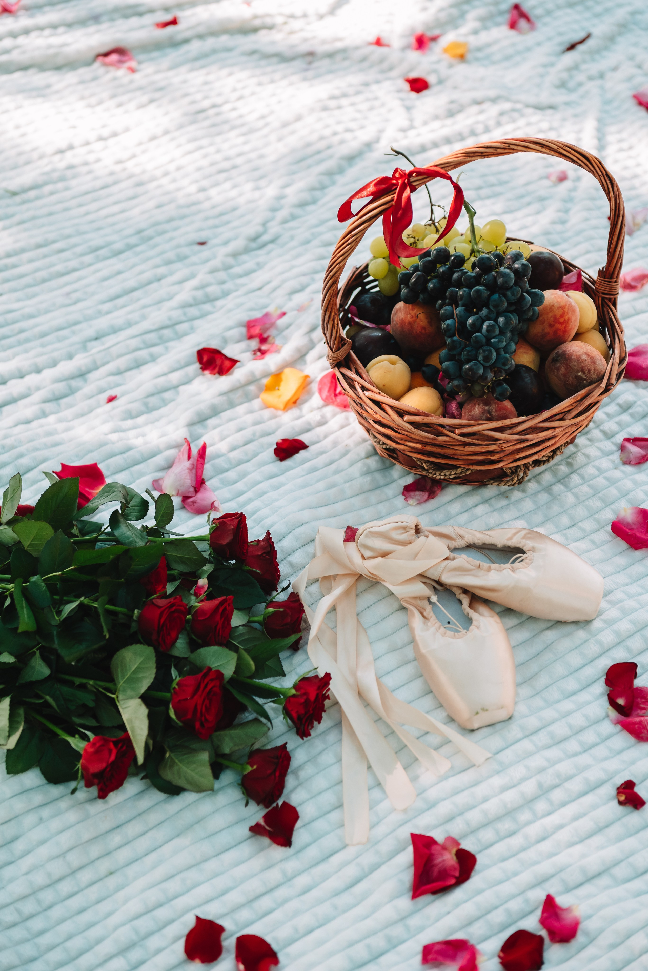 LEVITA (пикник)