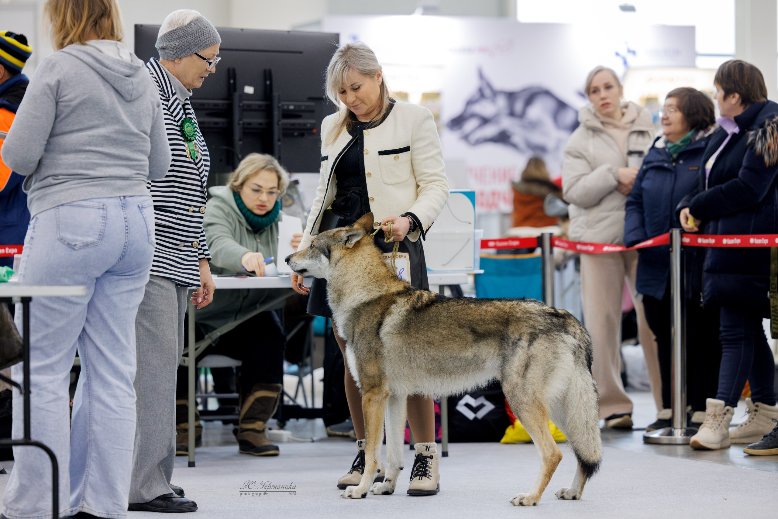 Сабанеевка Казань 25-26.01.2025. Фотограф-анималист Юлия Германика