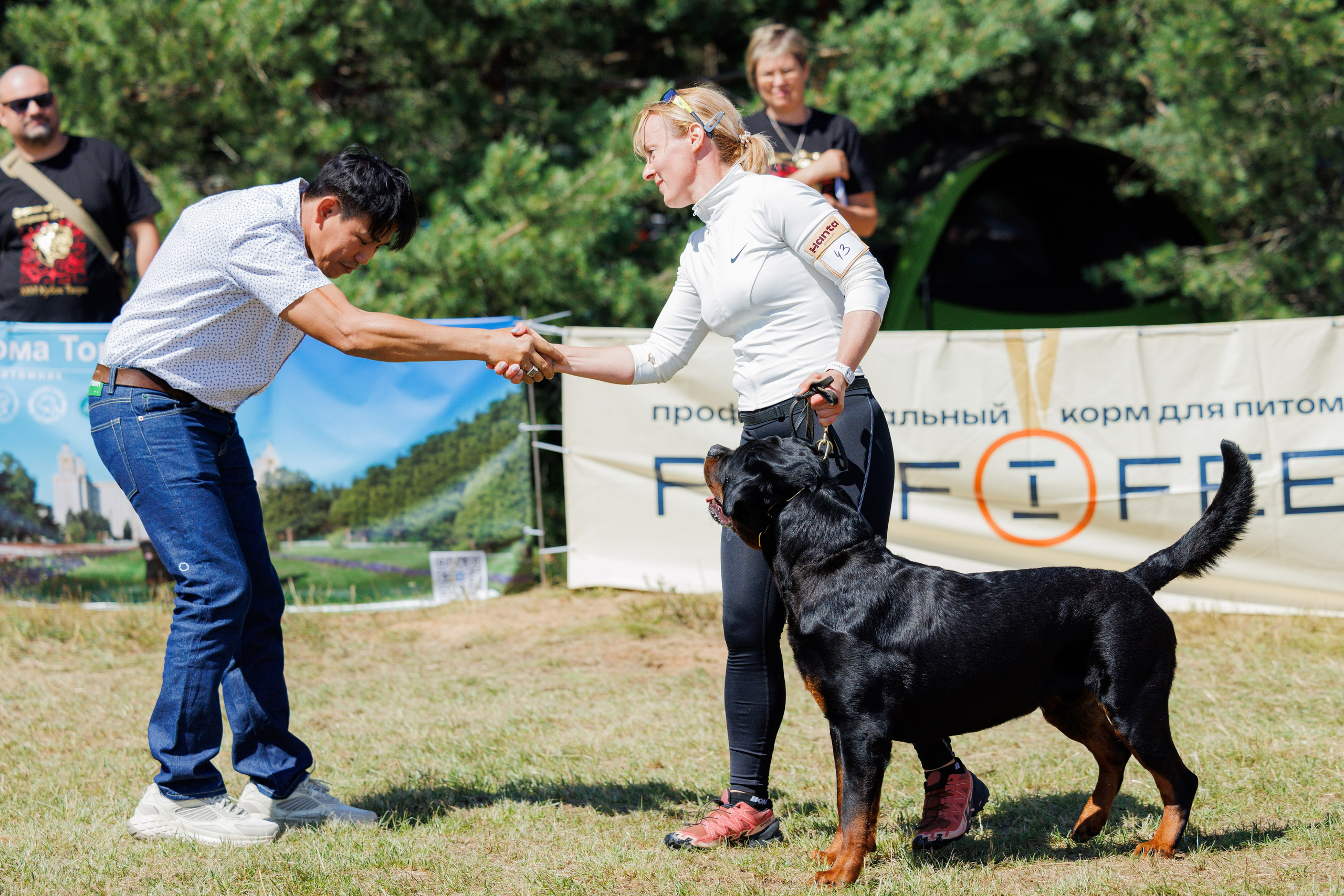 ПК и КЧК ротвейлеры Тверь 6-7.07.2024. Фотограф-анималист Юлия Германика